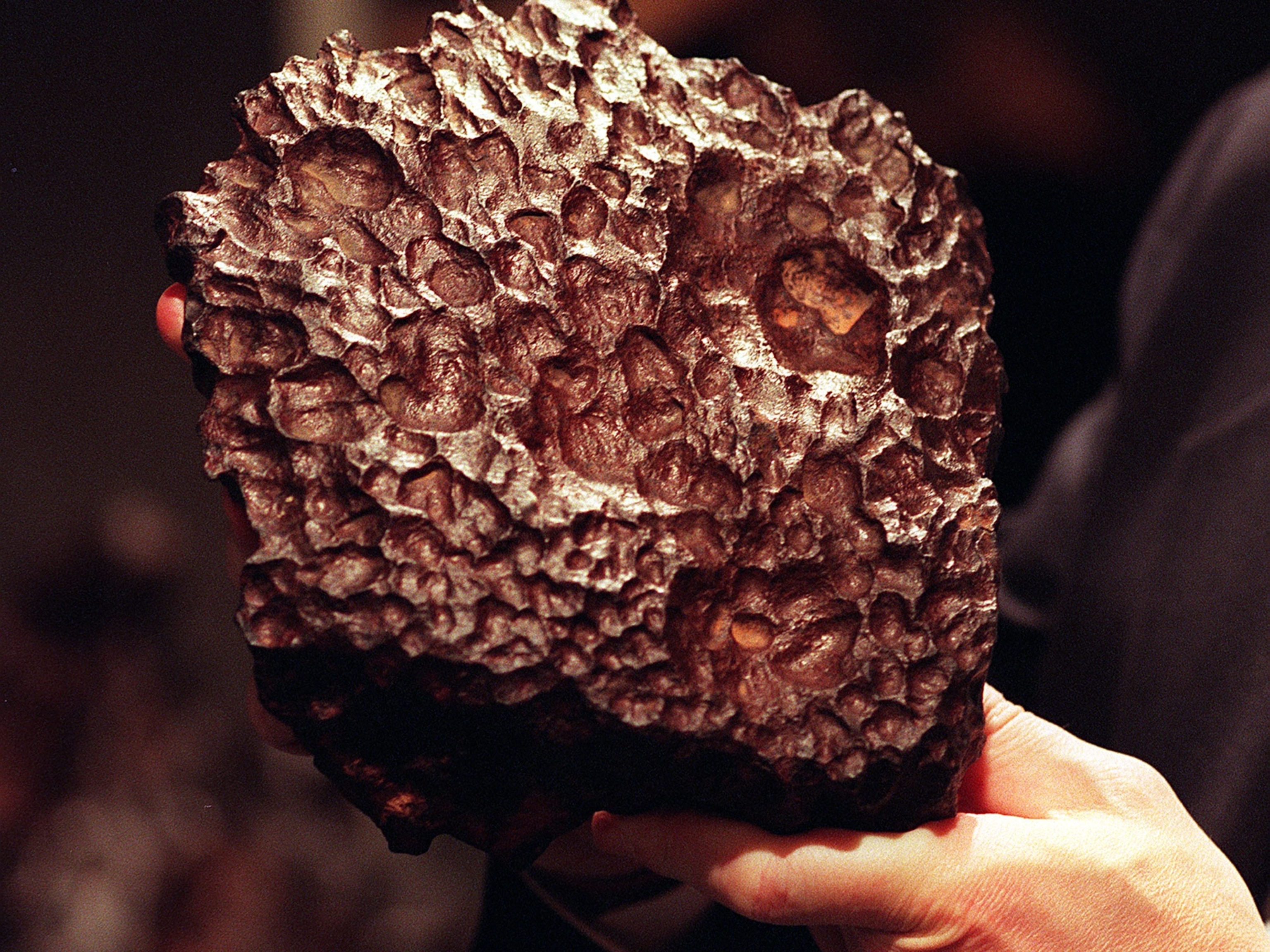 What Meteorites Mean for Science, Culture, and Kitsch