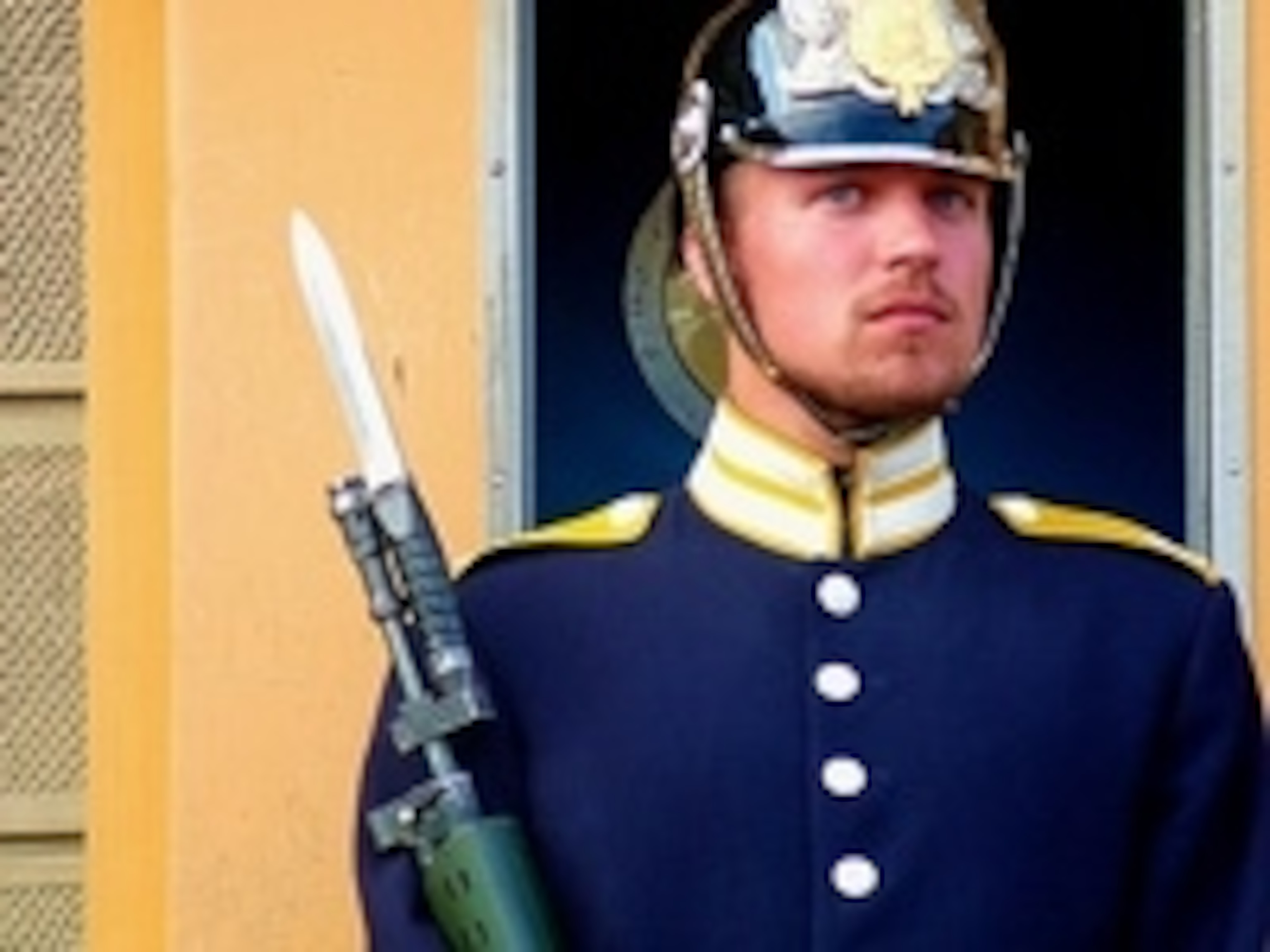 Guard at the Royal Palace.jpg