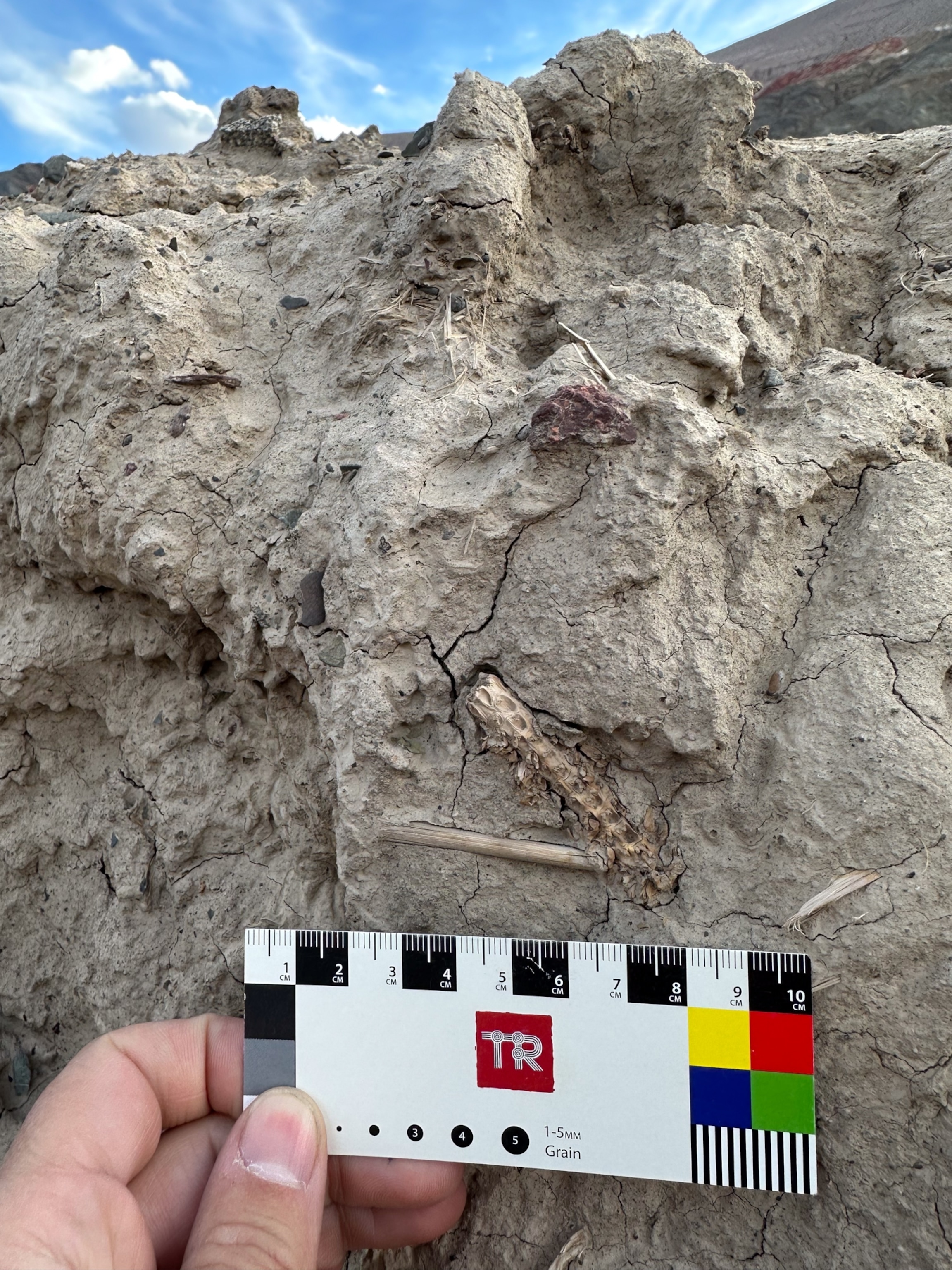 Close-up of a cracked, textured rock surface with earthy colors under a blue sky. A hand holds a multicolored measurement card for scale