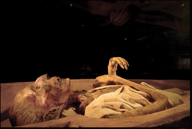 The nose of Ramses II was even reinforced with animal bone and stuffed with seeds.