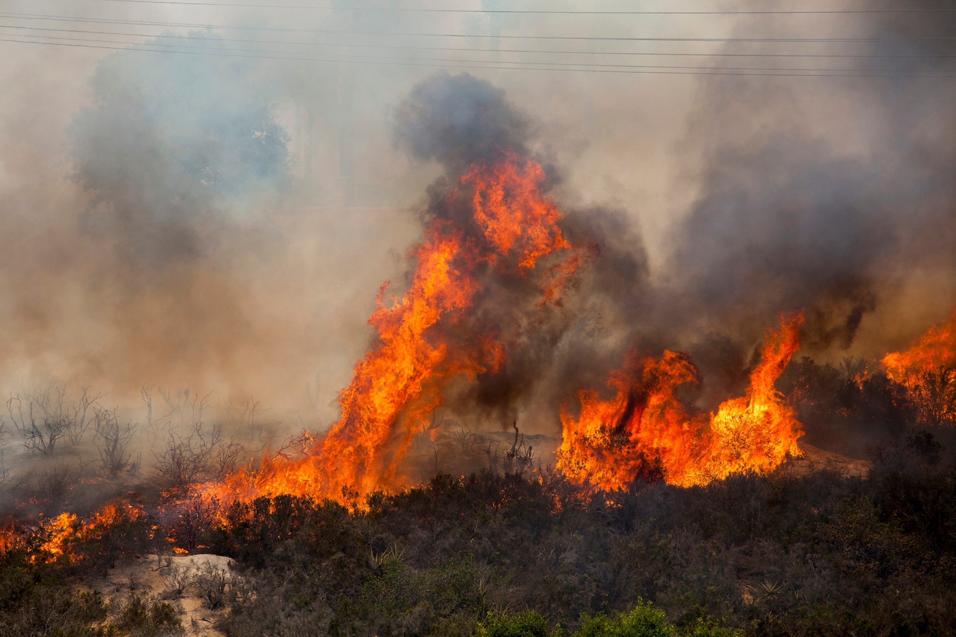 Wildfire climbs a canyon toward homes Wednesday, May 14, 2014, in Carlsbad, Calif.