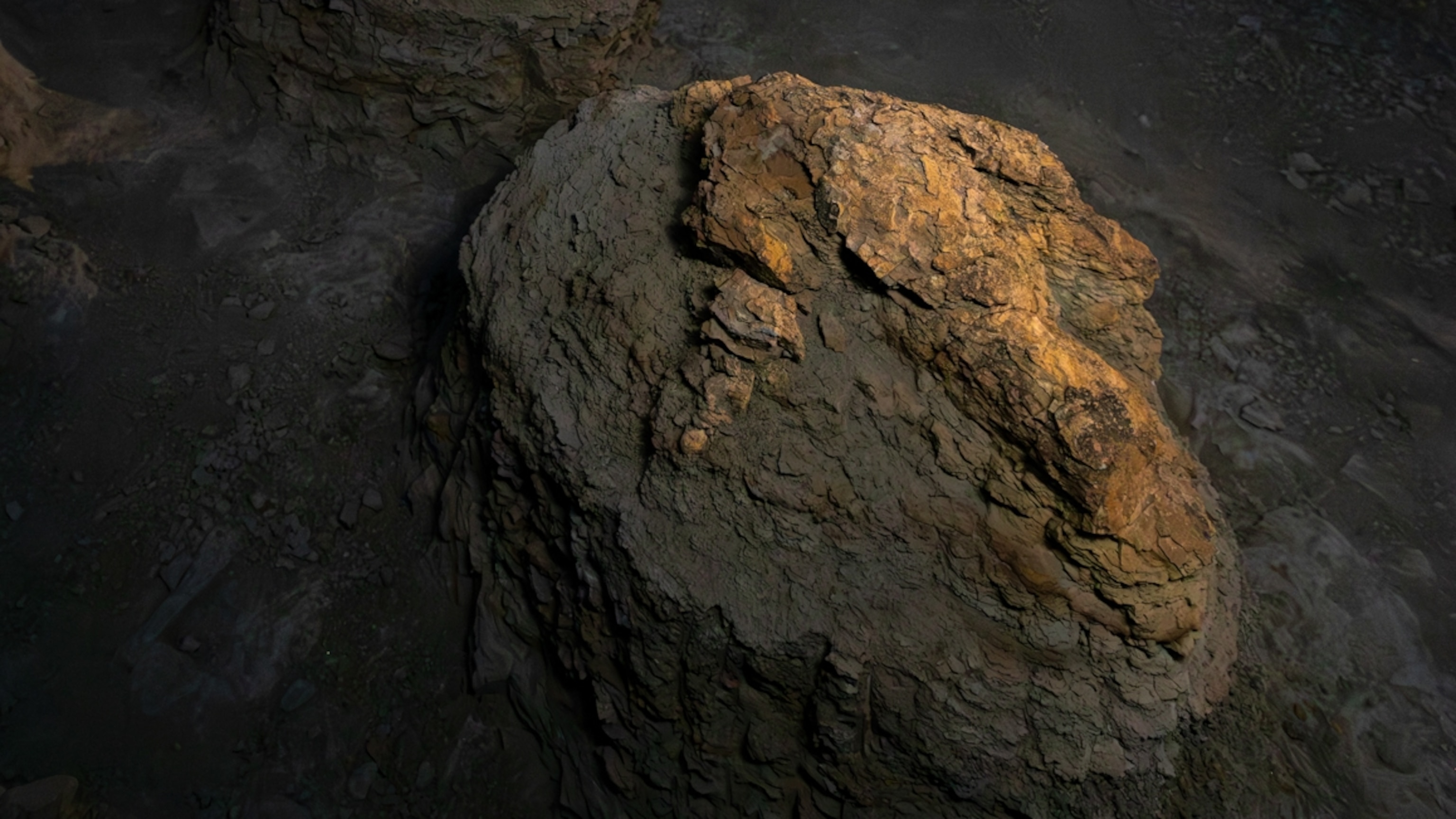 How an Unlikely Fossil Hunter Found a Tyrannosaurus Trail