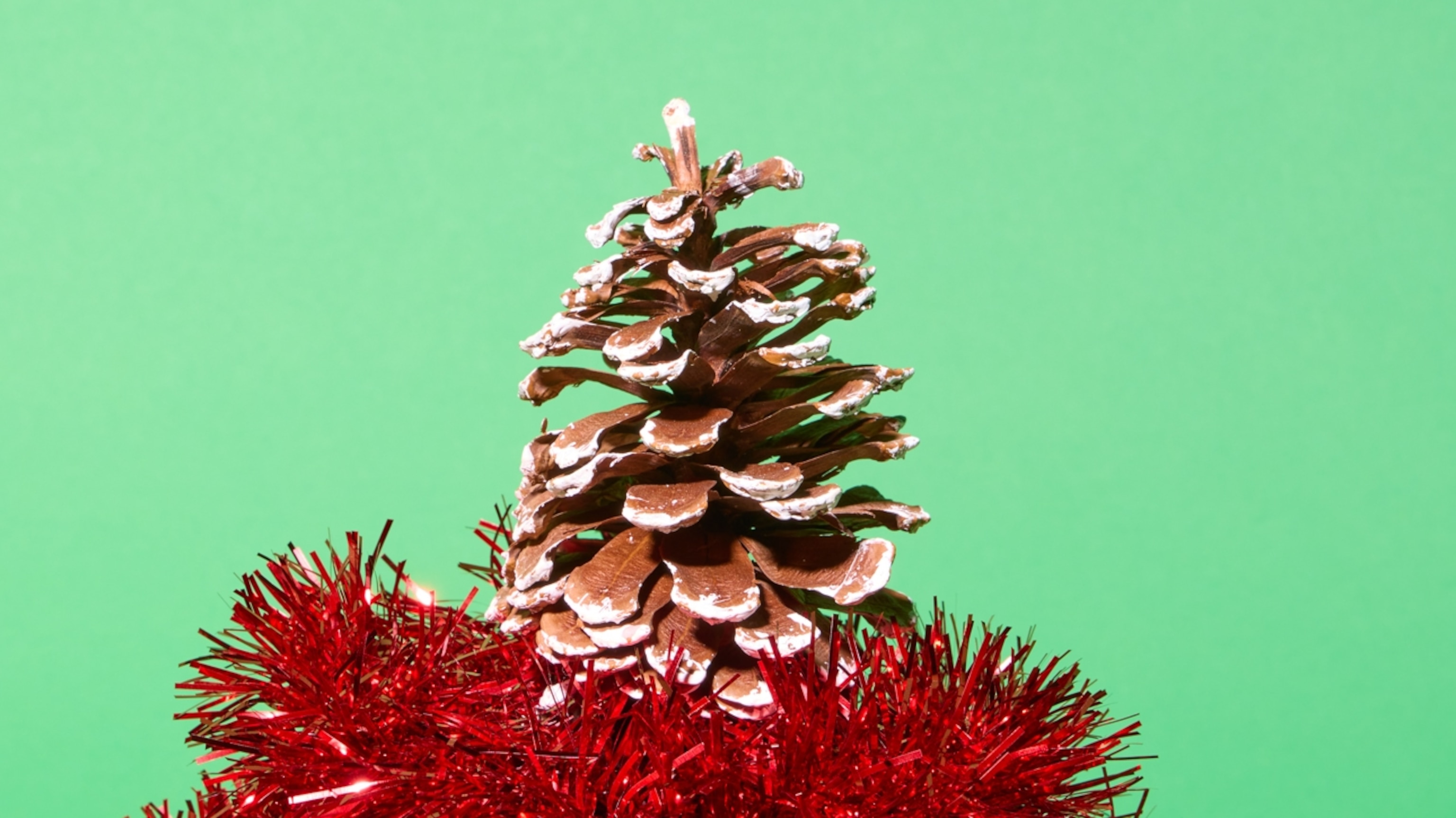 We asked plastics experts how they (sustainably) decorate for the holidays