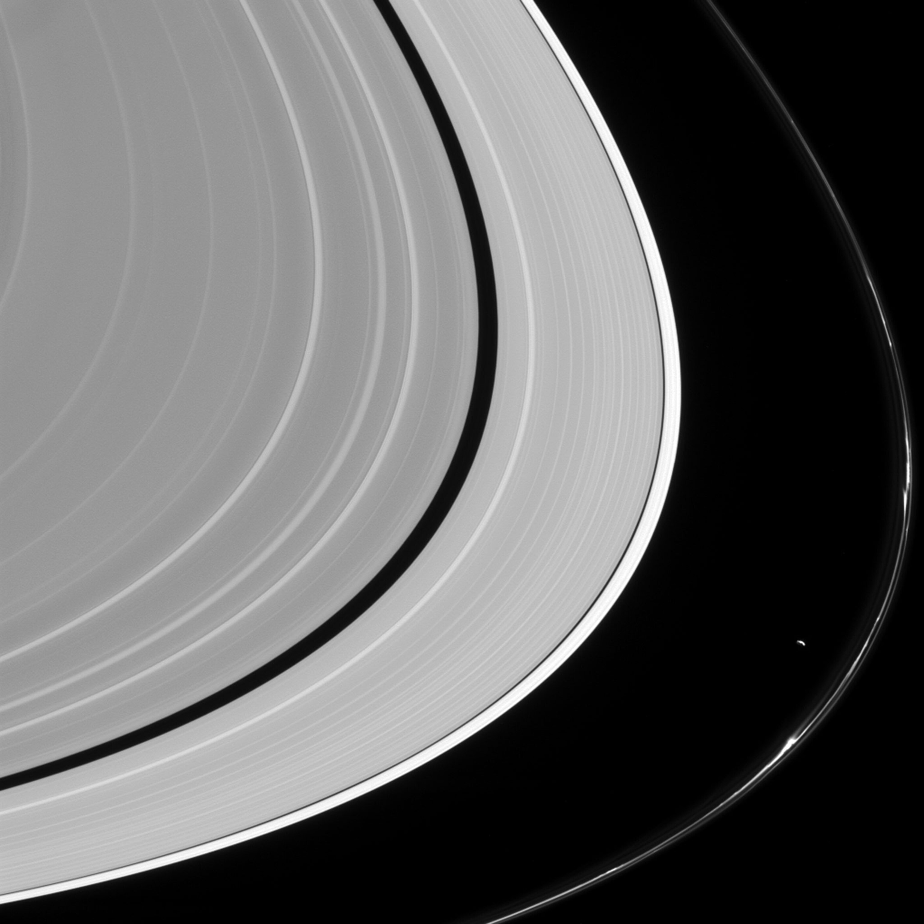 Saturn's F ring