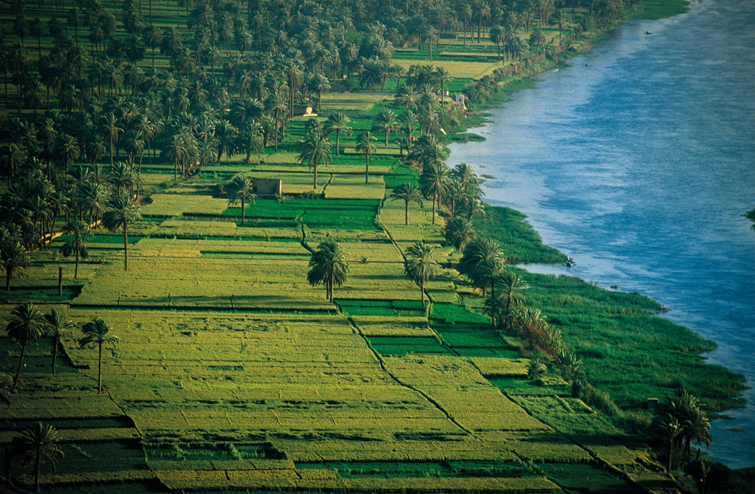 The Nile is pictured as it passes through Amarna.