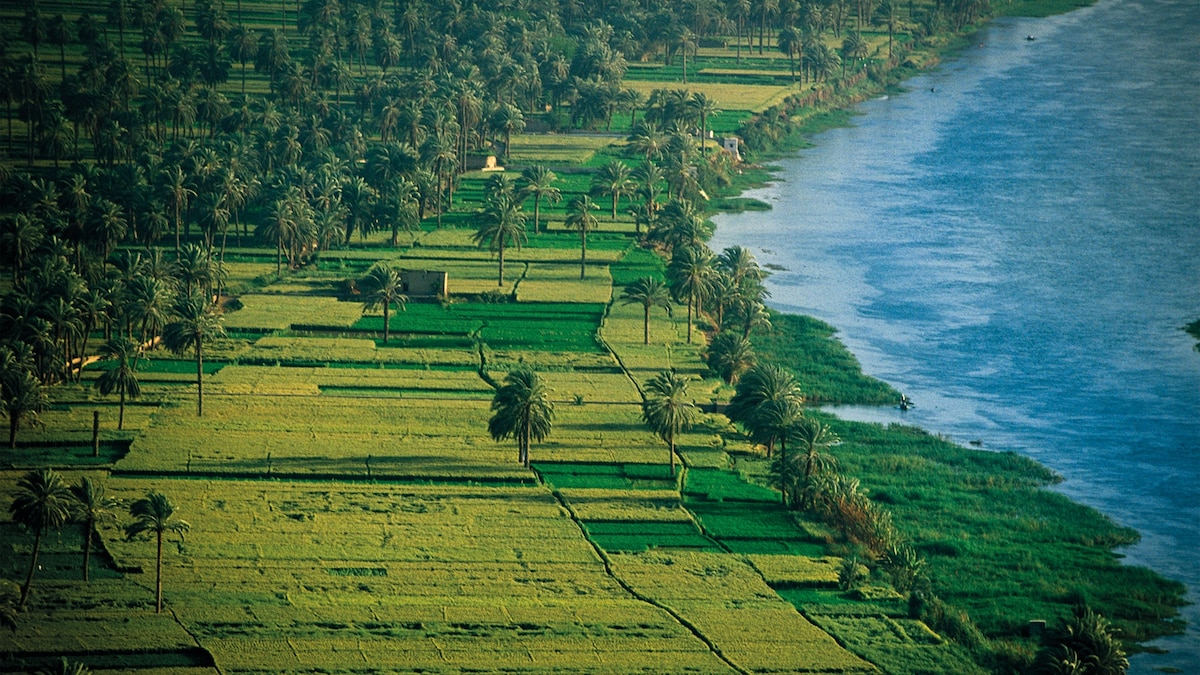 Why Ancient Egyptians needed the flooding of the Nile