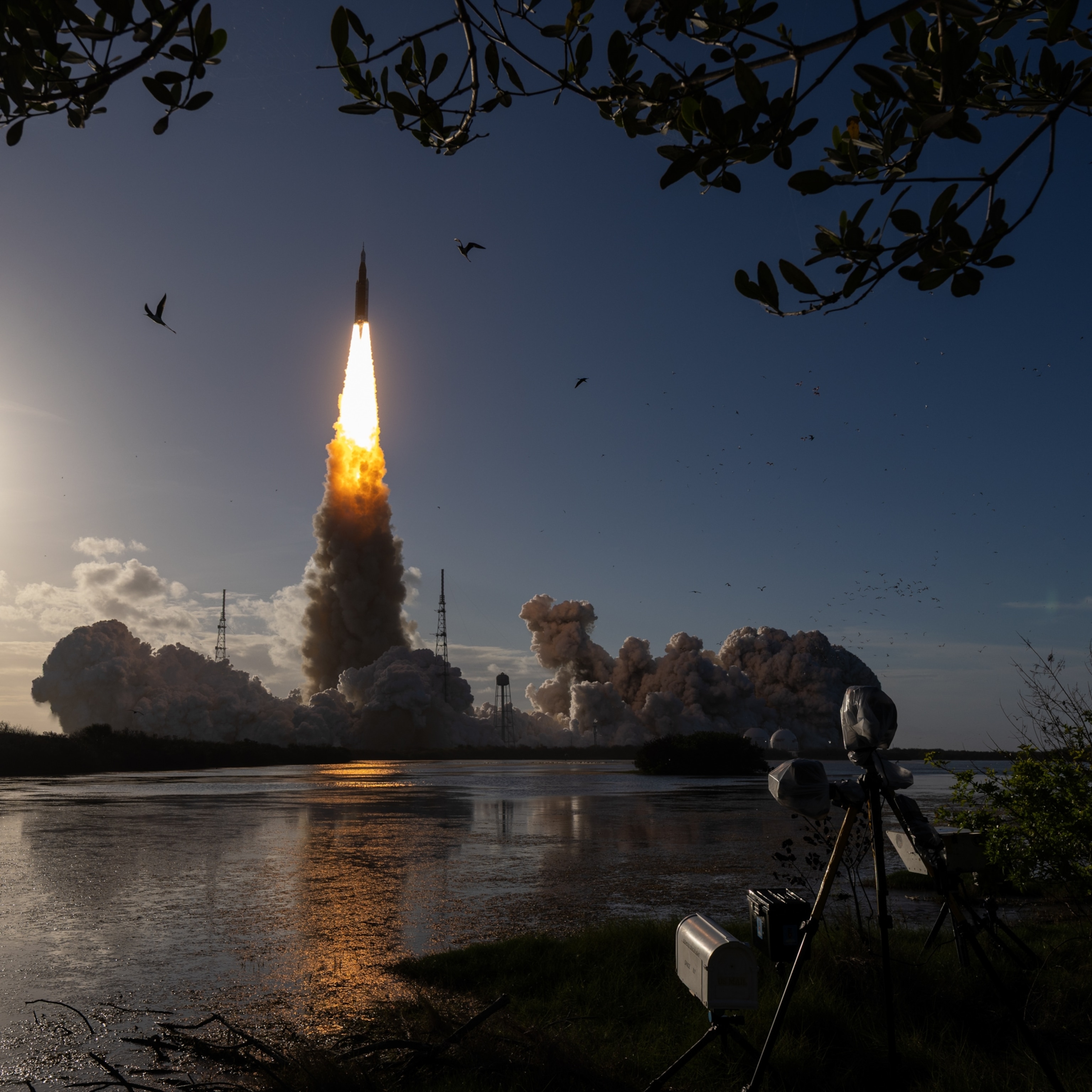 A rocket launches into a blue sky, leaving a trail of fiery exhaust. Birds fly around, cameras on tripods in the foreground