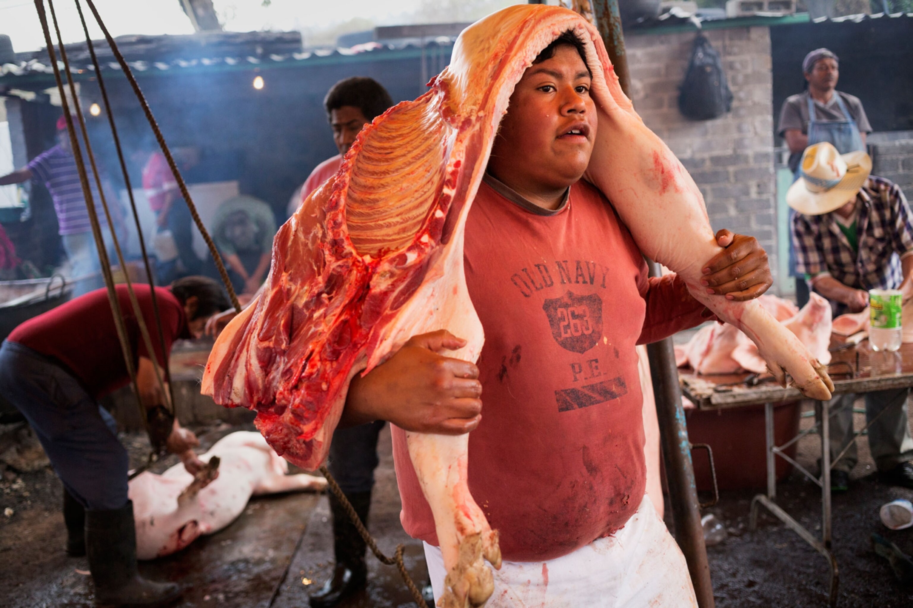 a man carrying a slaughtered pig