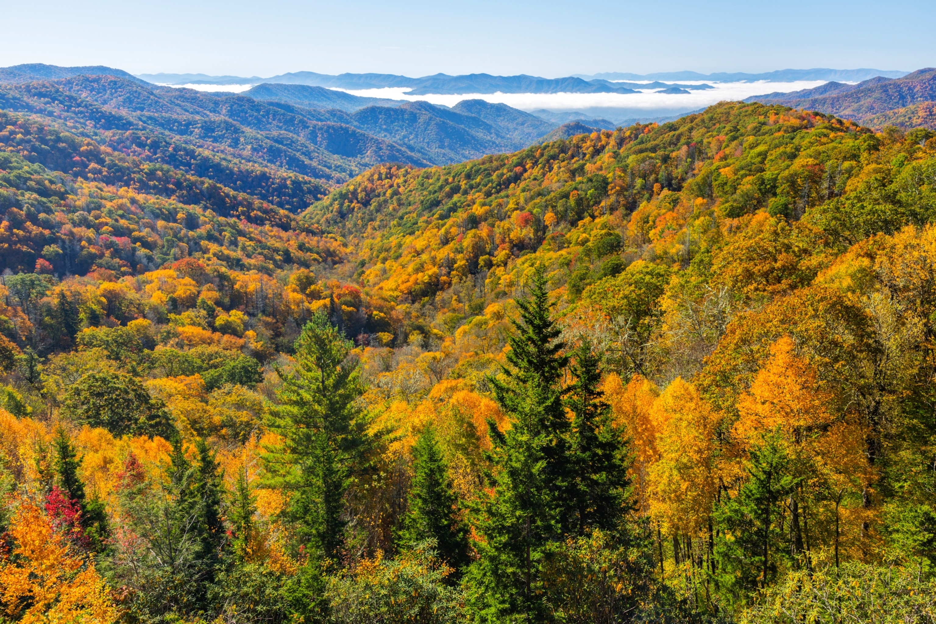 North Carolina, Great Smoky Mountains National Park, view from Newfound Gap Road