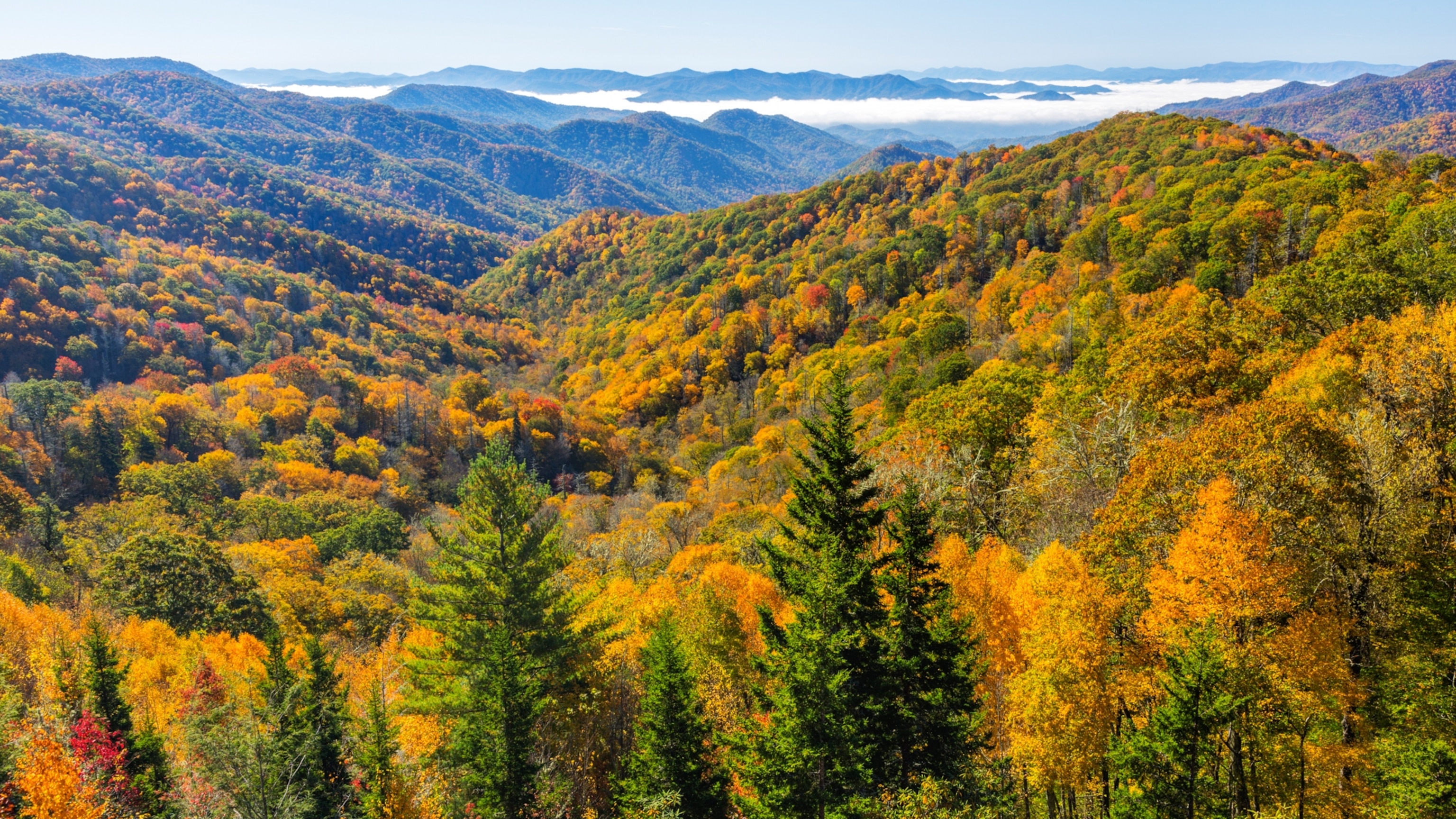 Everything you should know about Great Smoky Mountains National Park