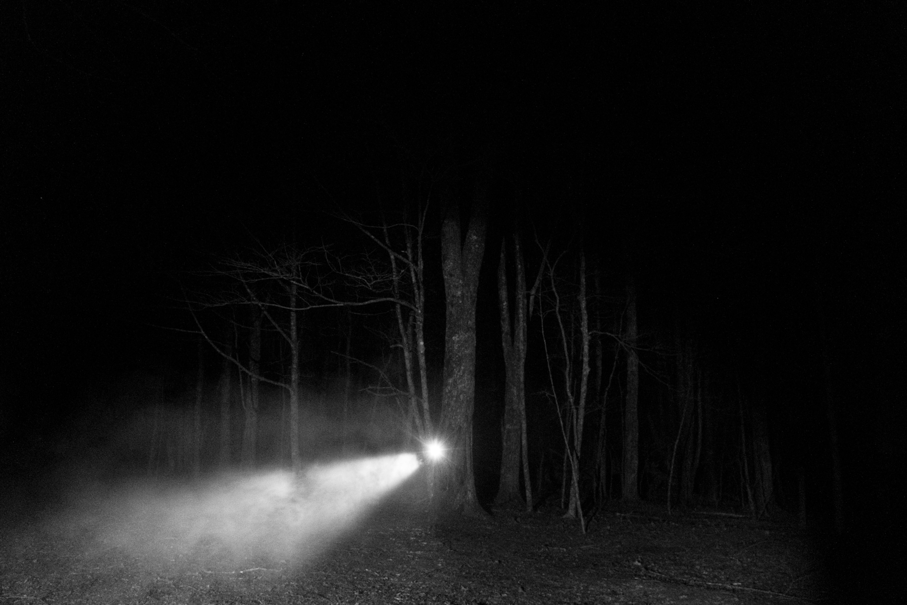 Appalachian Trail, NC