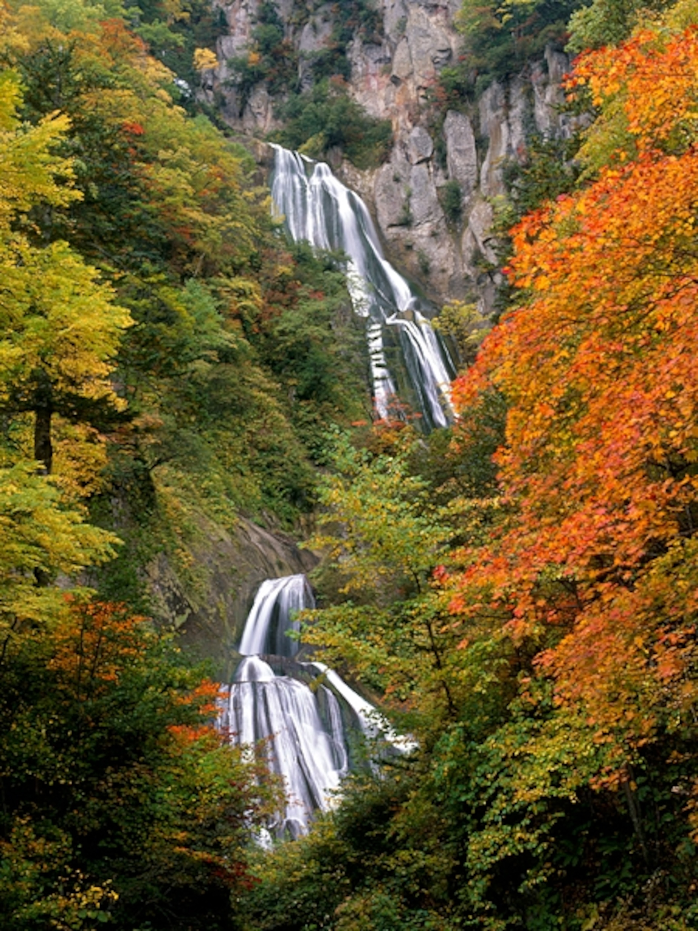 autumn leaves and waterfalls in Hokkaido, Japan