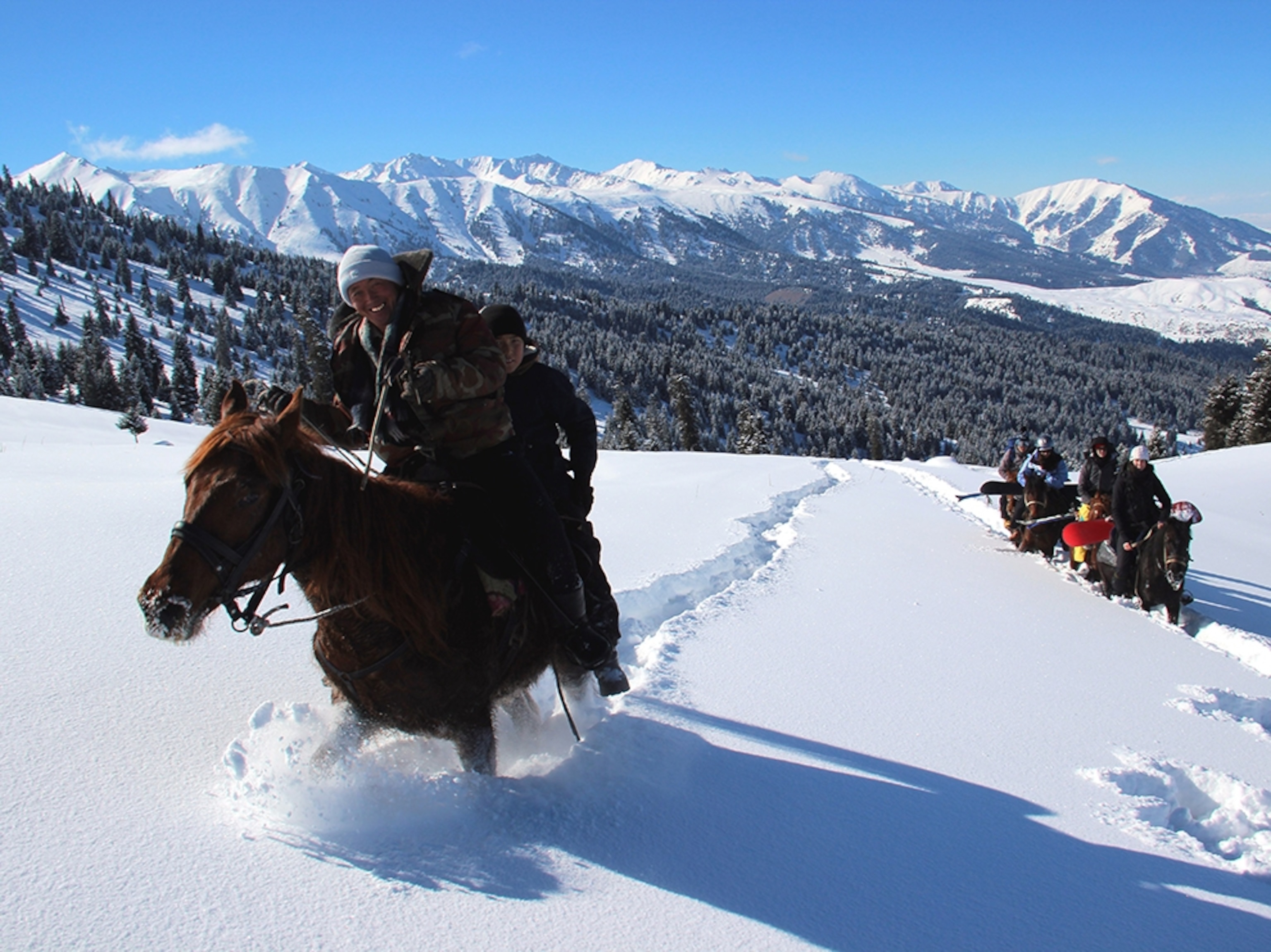 horses taking a group of skiers up a mountain