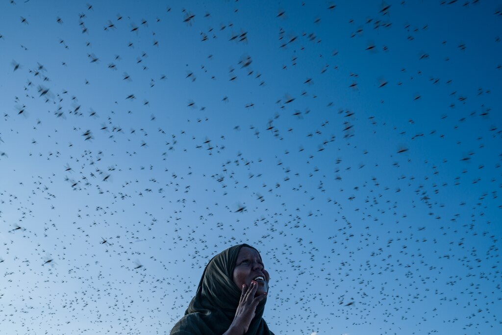 Meet Some Of The Millions Of Women Who Migrated Recently Risking Everything