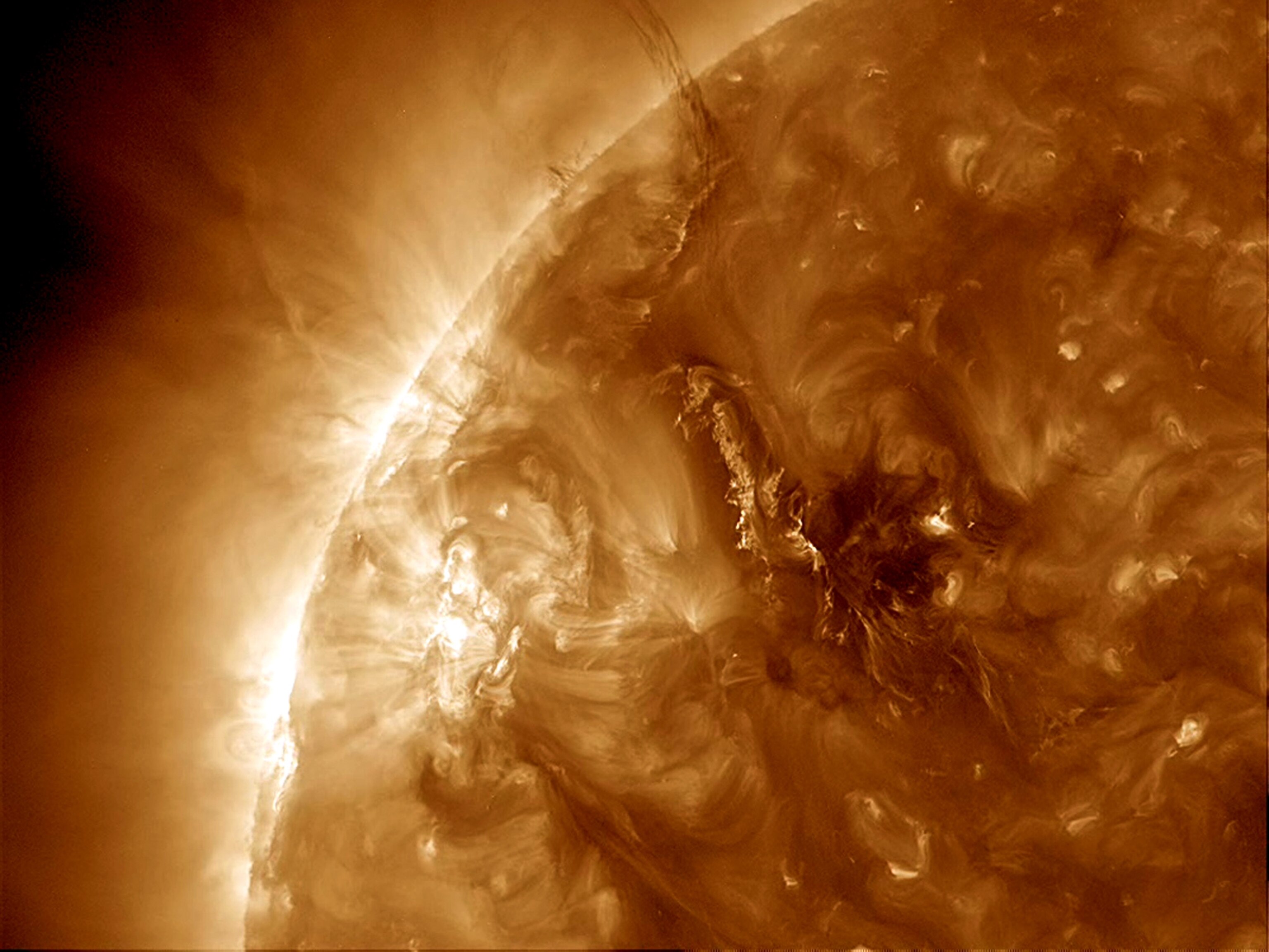 a solar prominence ejected from the sun on January 23