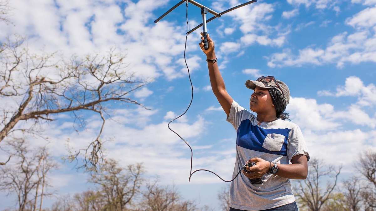 How 9 National Geographic Explorers Got Their Start