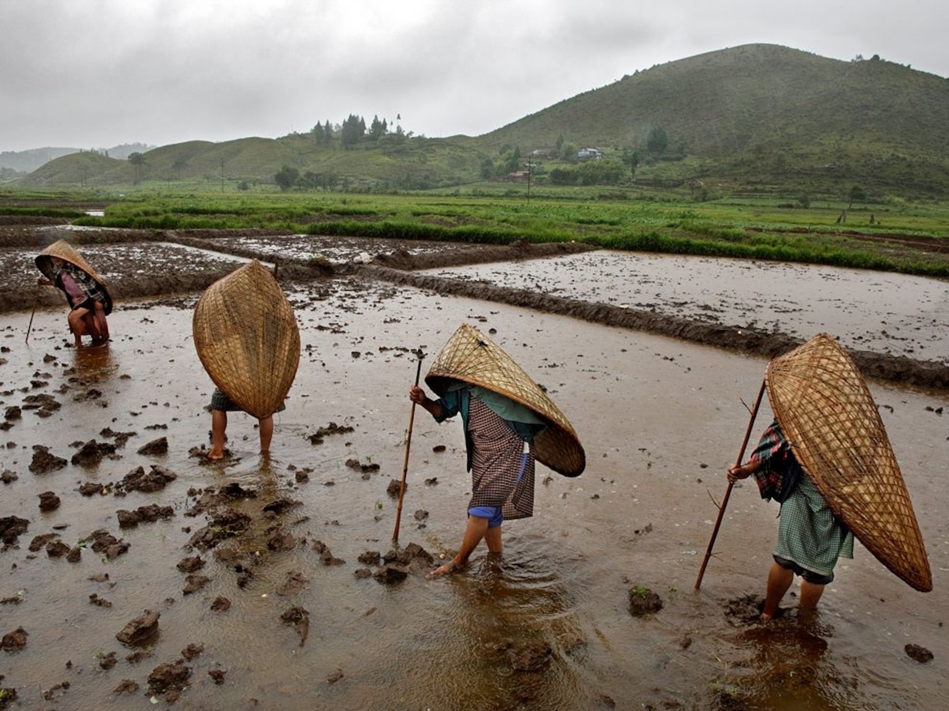 women working in fields in Mawsynram, India