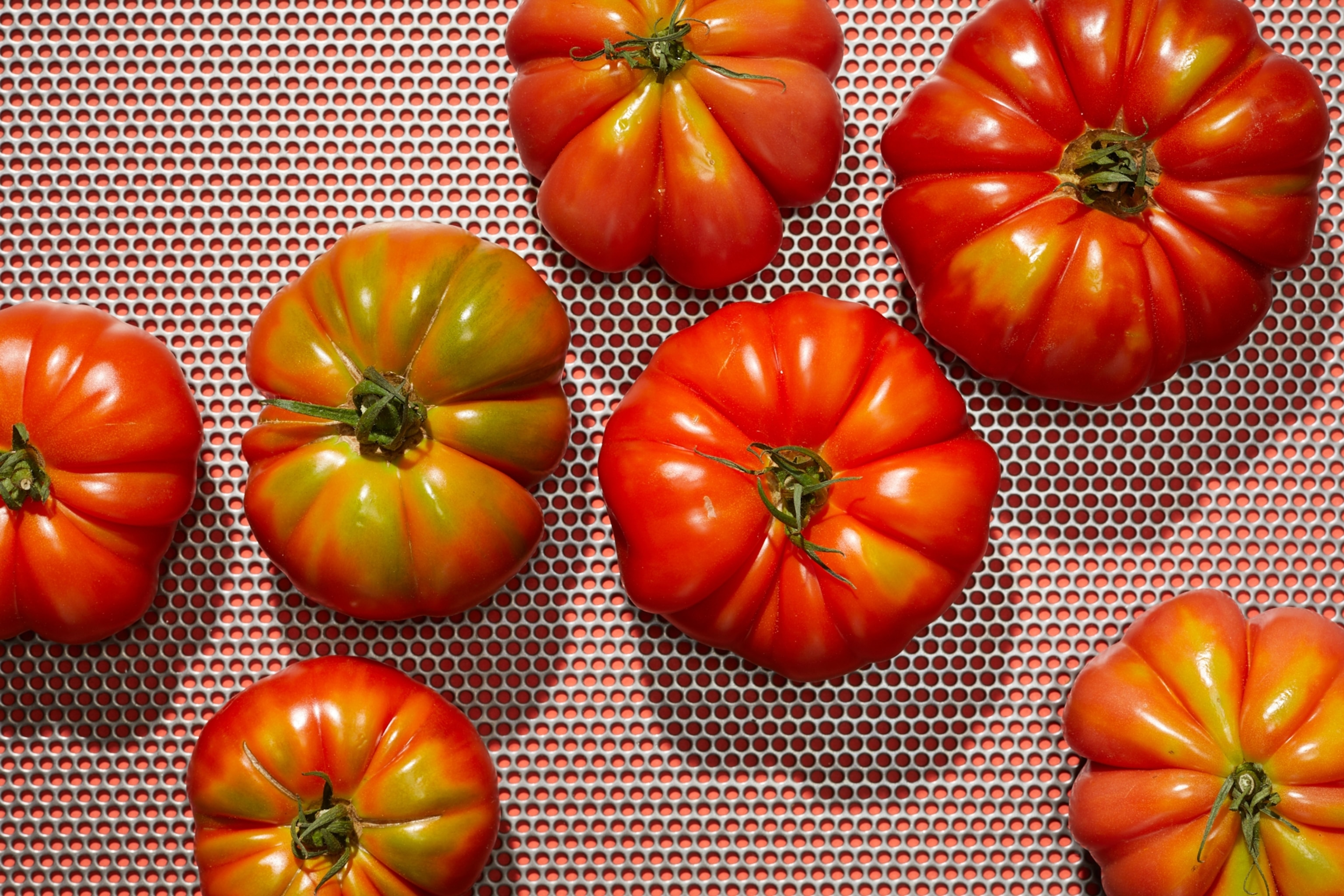 Heirloom tomatoes in vibrant red and green hues rest on a perforated metal surface