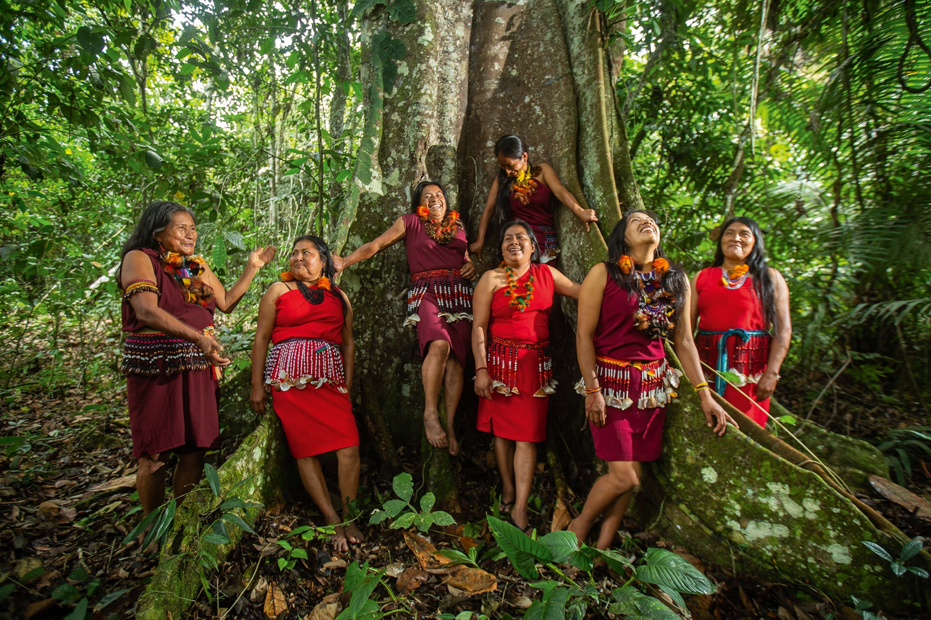 A group of Indigenous women posing to have their picture taken in the rainforest in front of a tree.