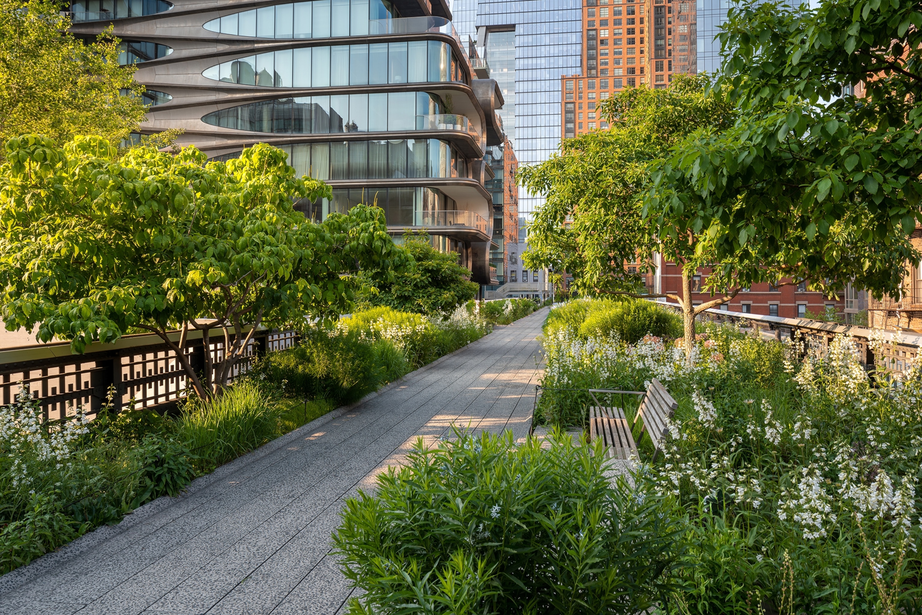 Vegetation with a path down the middle, part of New York's High Line.