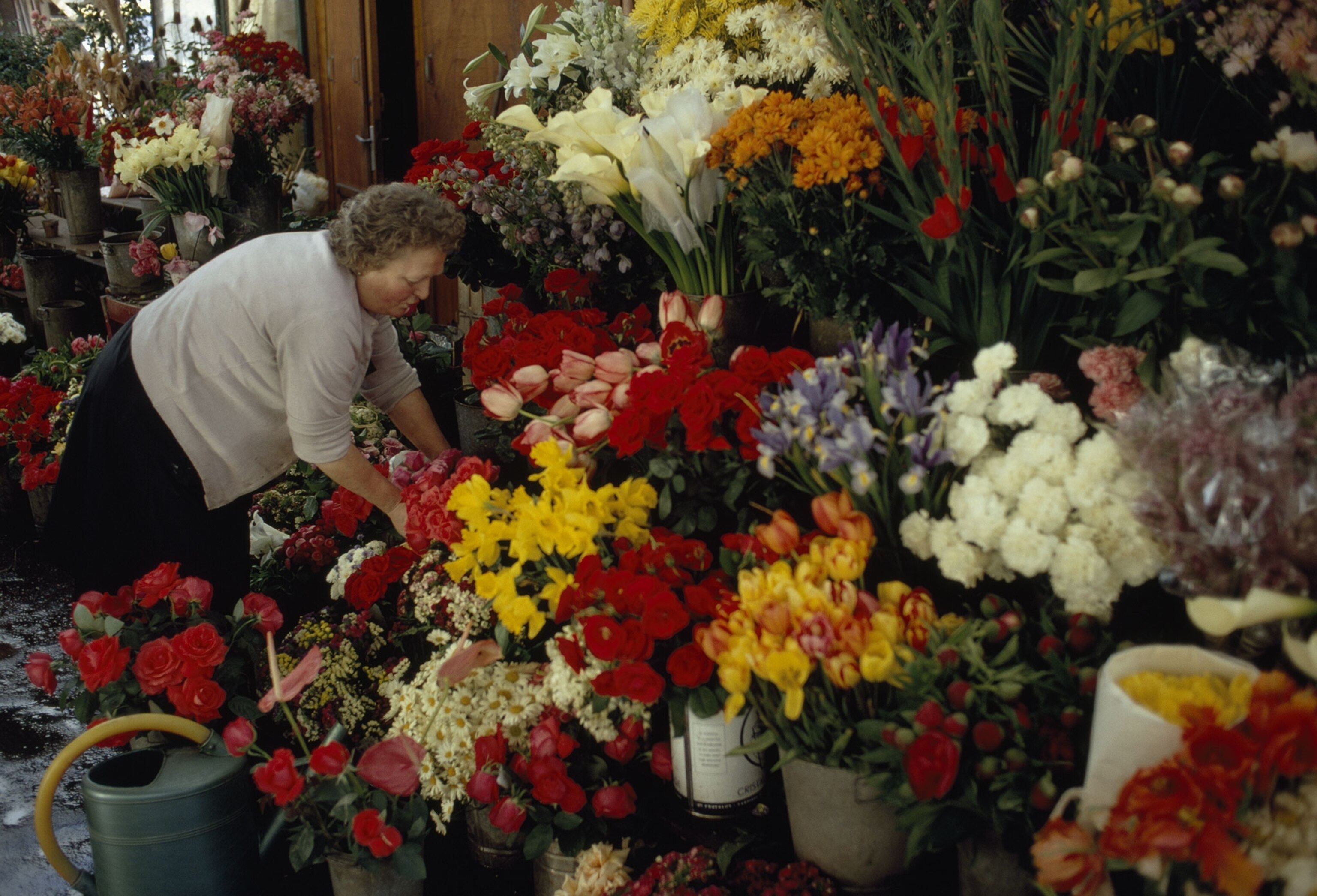 a woman among cut flowers