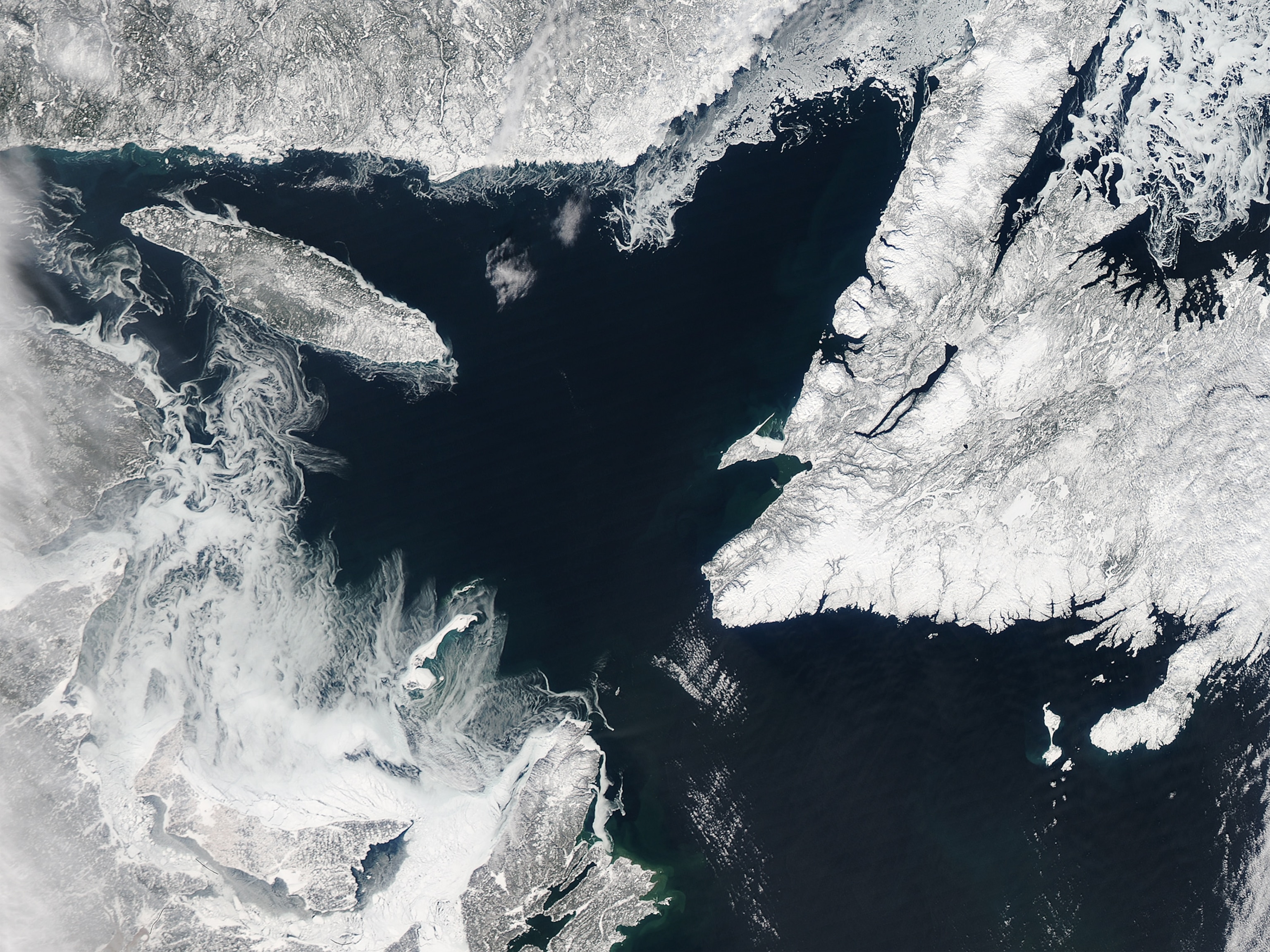 Sea ice in the Gulf of St. Lawrence.