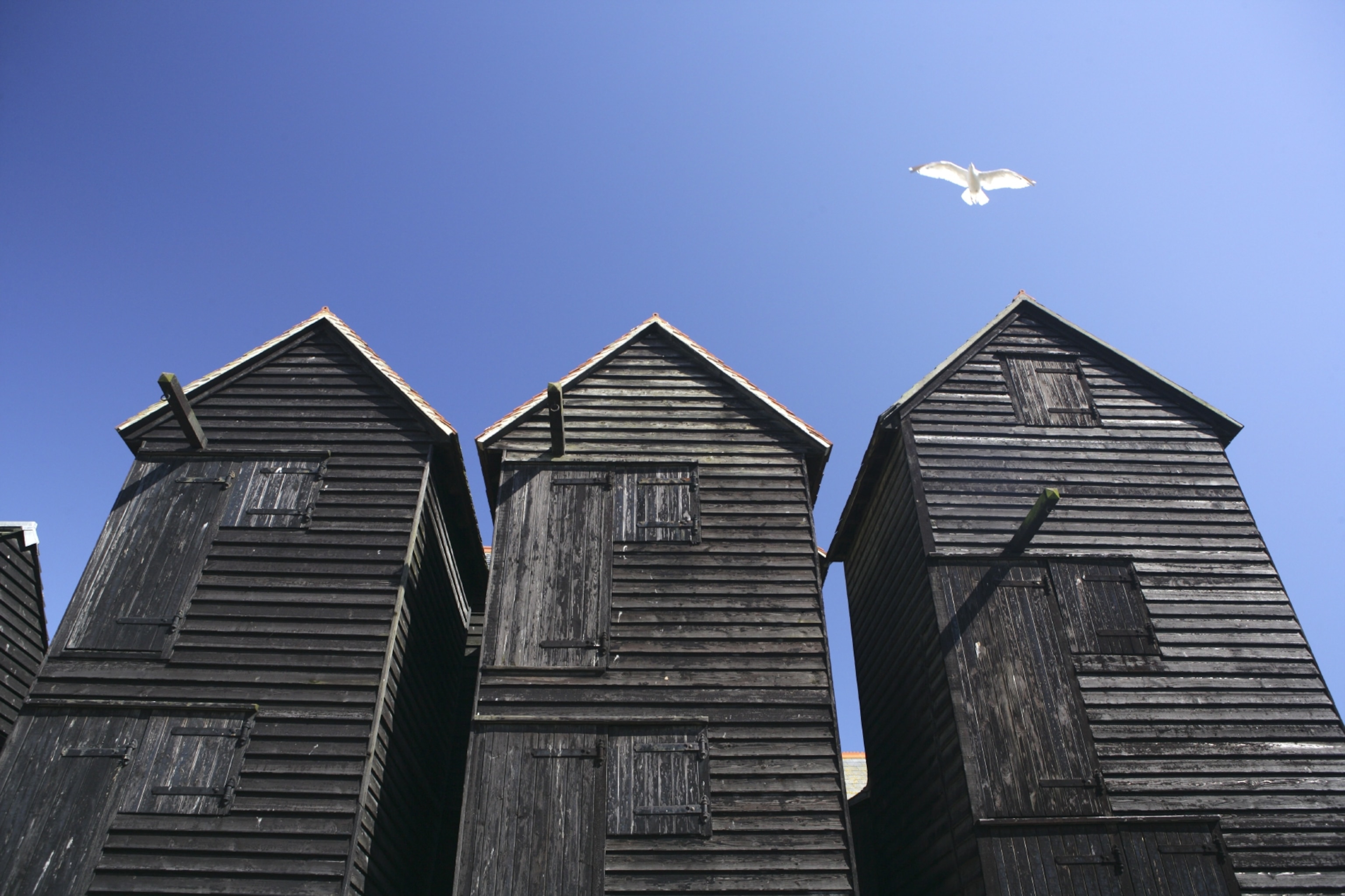 net sheds in Hastings