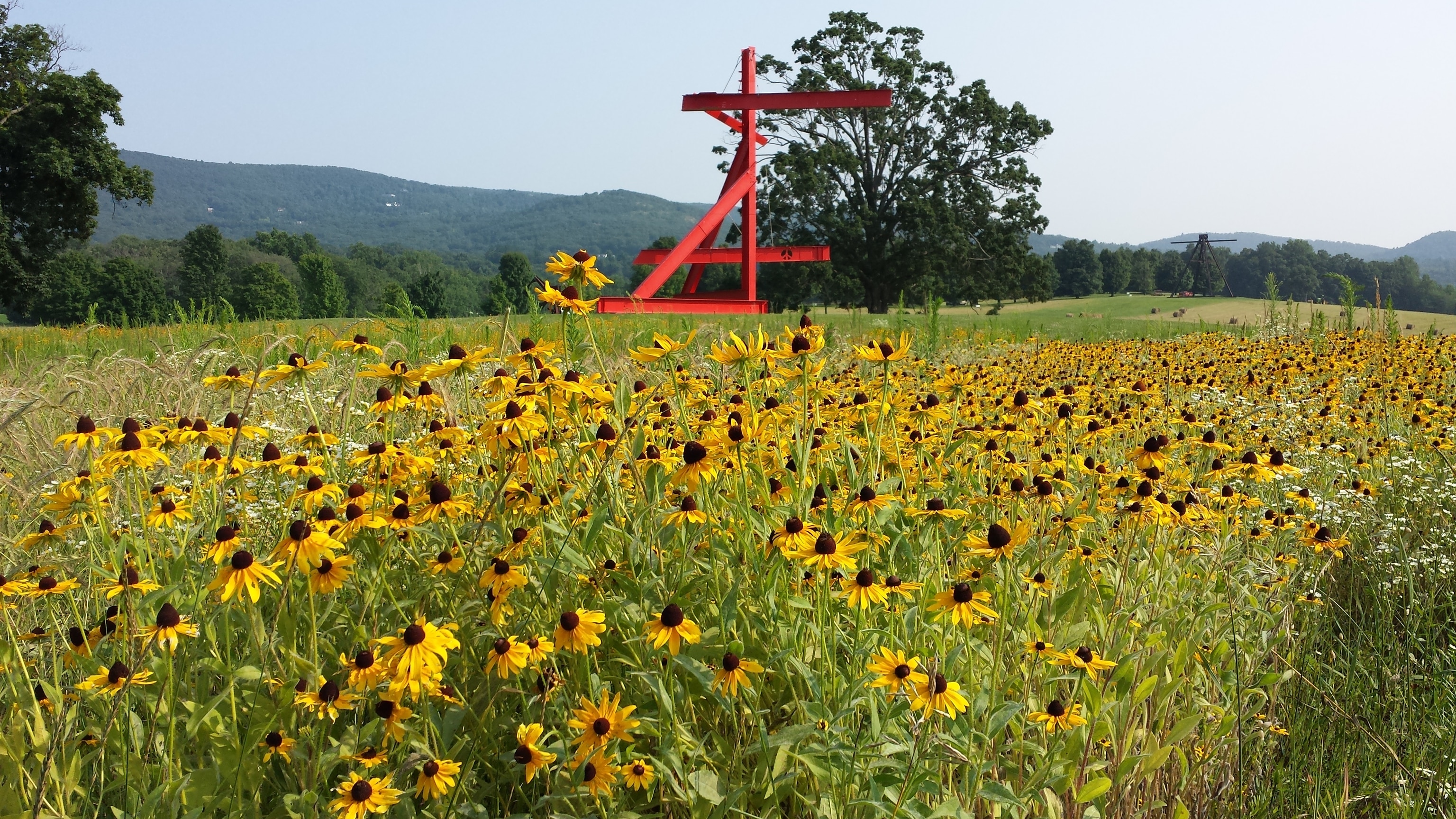 Field and sculpture at the Storm King Art Center