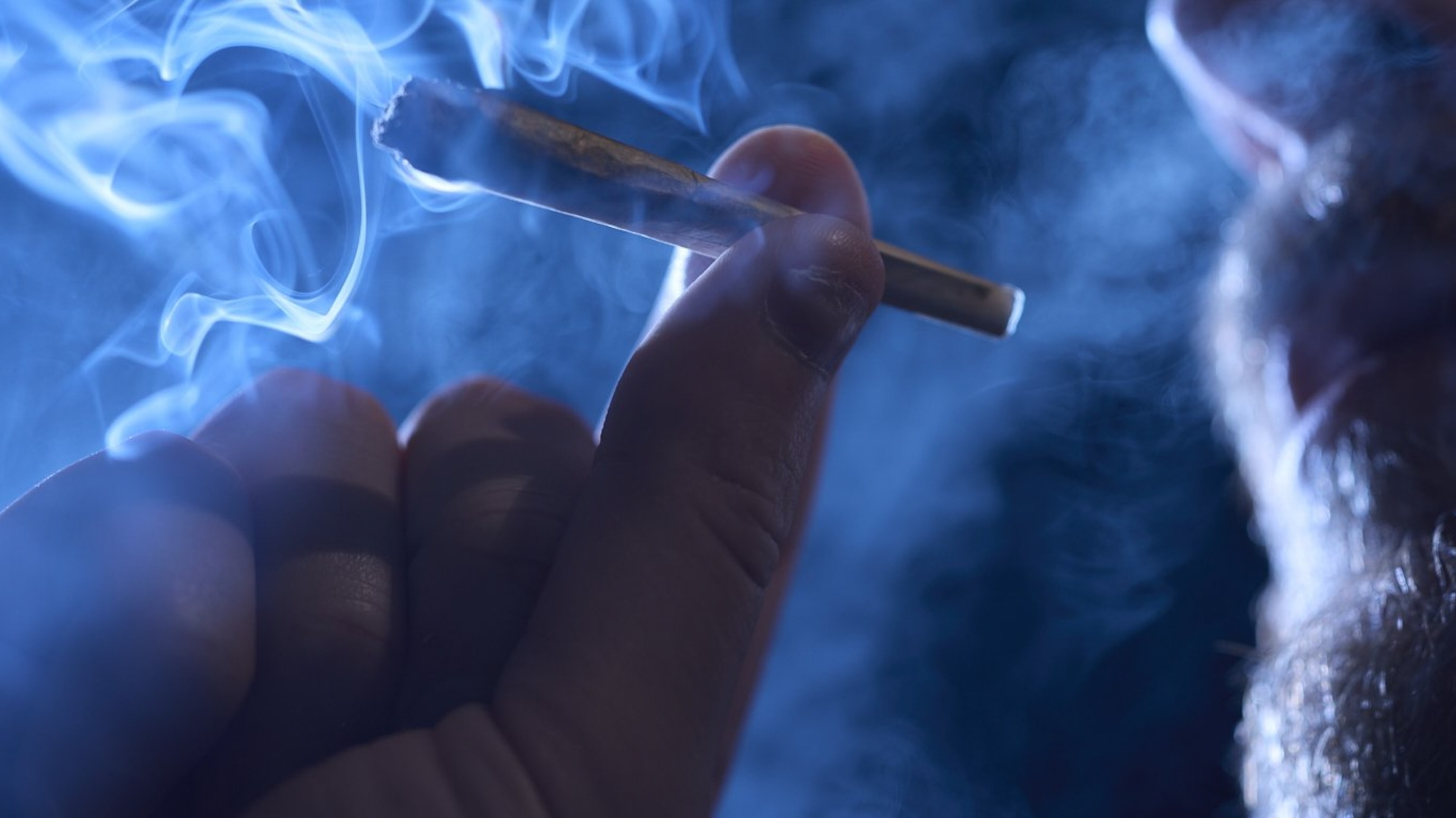 How does cannabis affect the body?