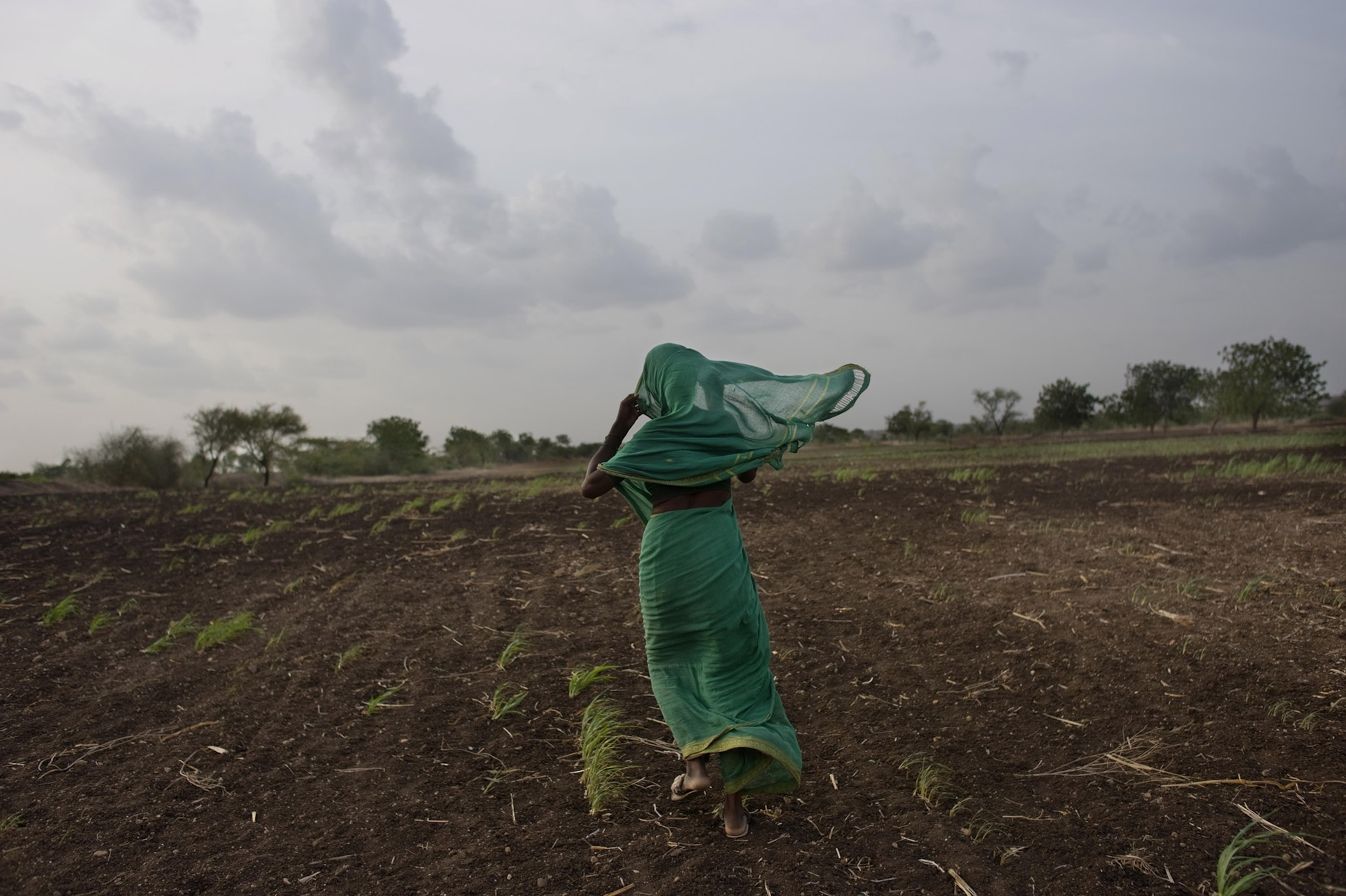 A woman in a green sari and headscarf looks out across a dry field with small green plants sprouting from the brown dirt, a cloudy stormy sky above