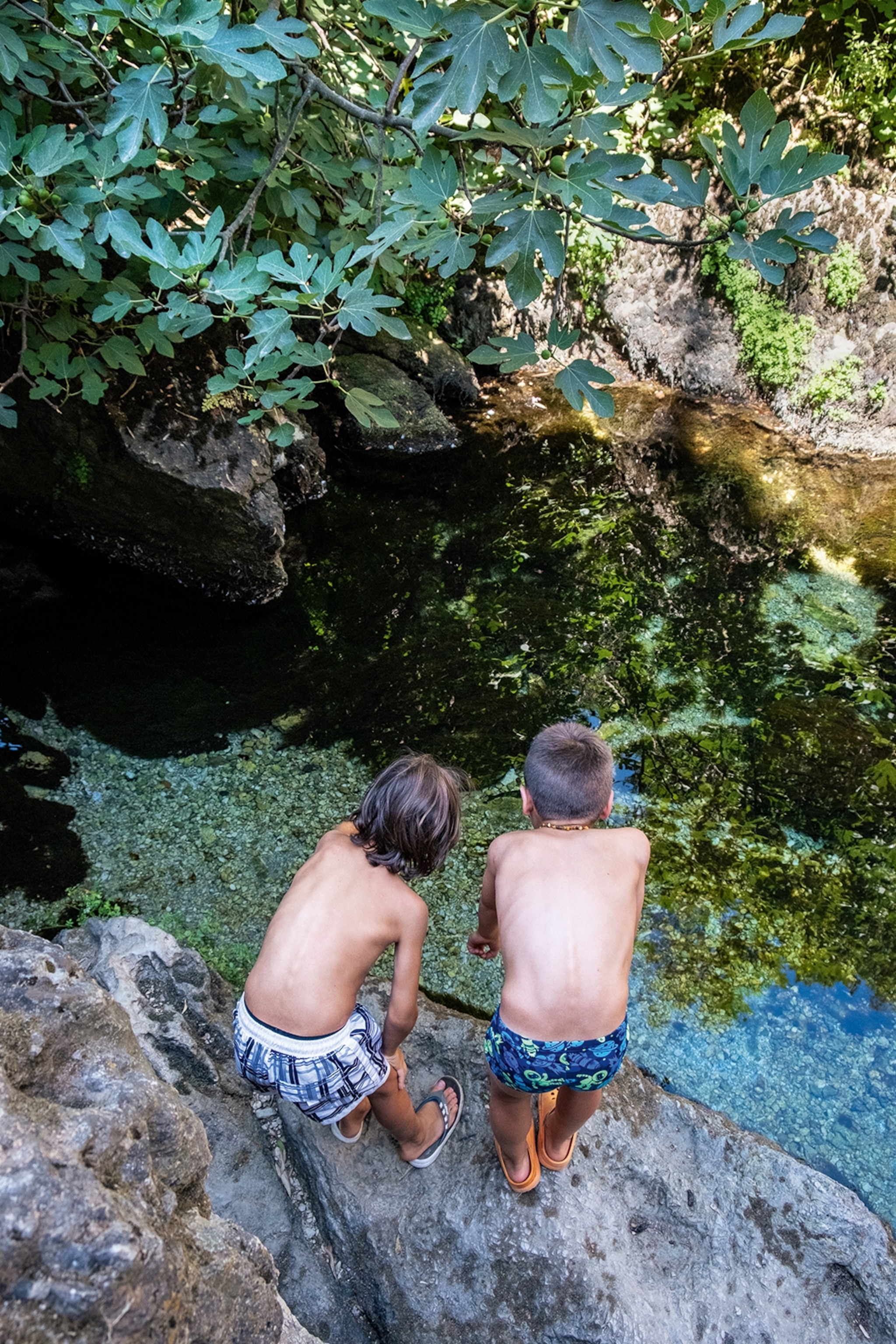 Two boys overlook the stream