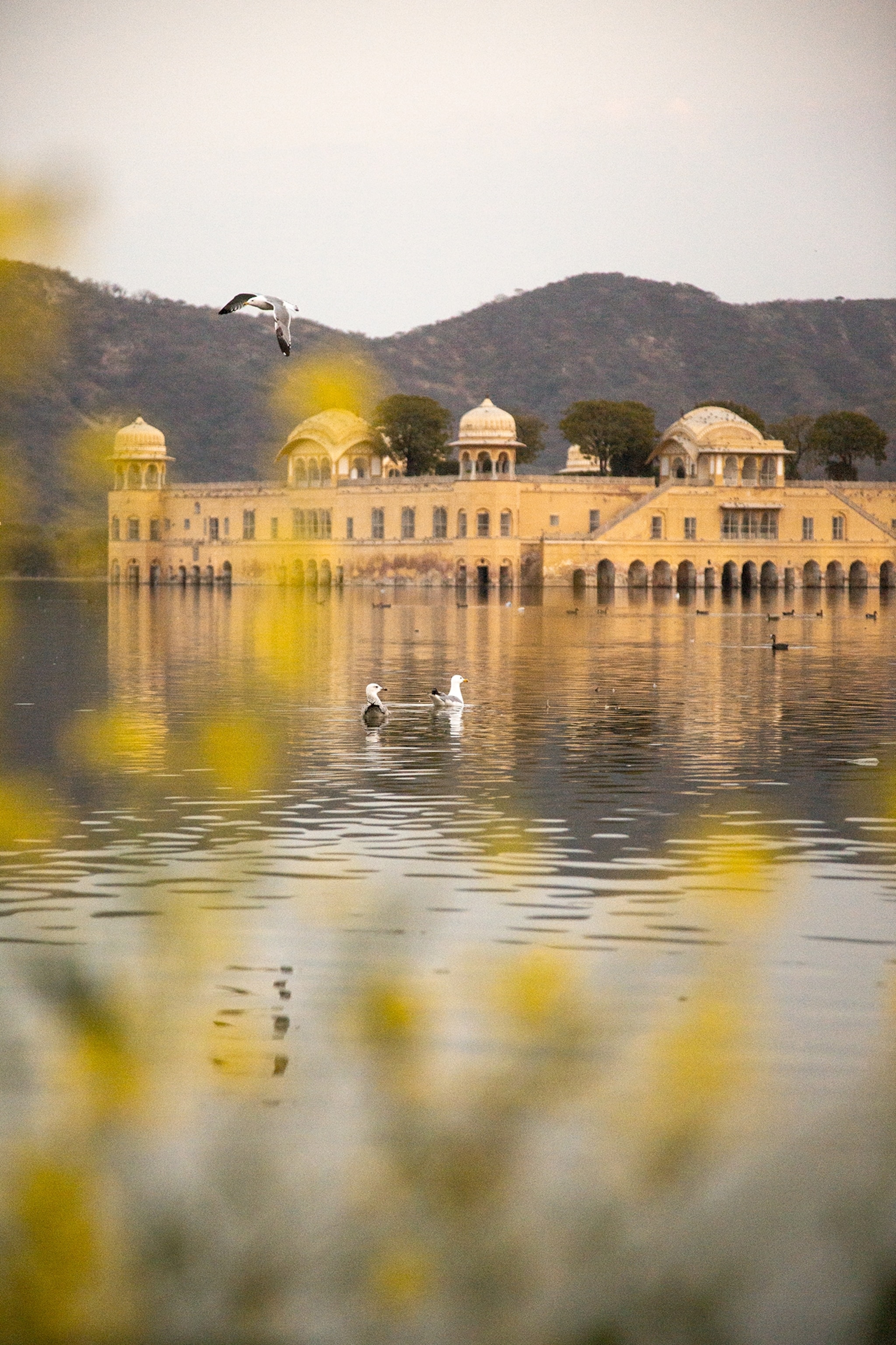 A historic palace with domed pavilions stands along the edge of a calm lake, while birds float on the water and fly overhead, with low hills rising in the background.