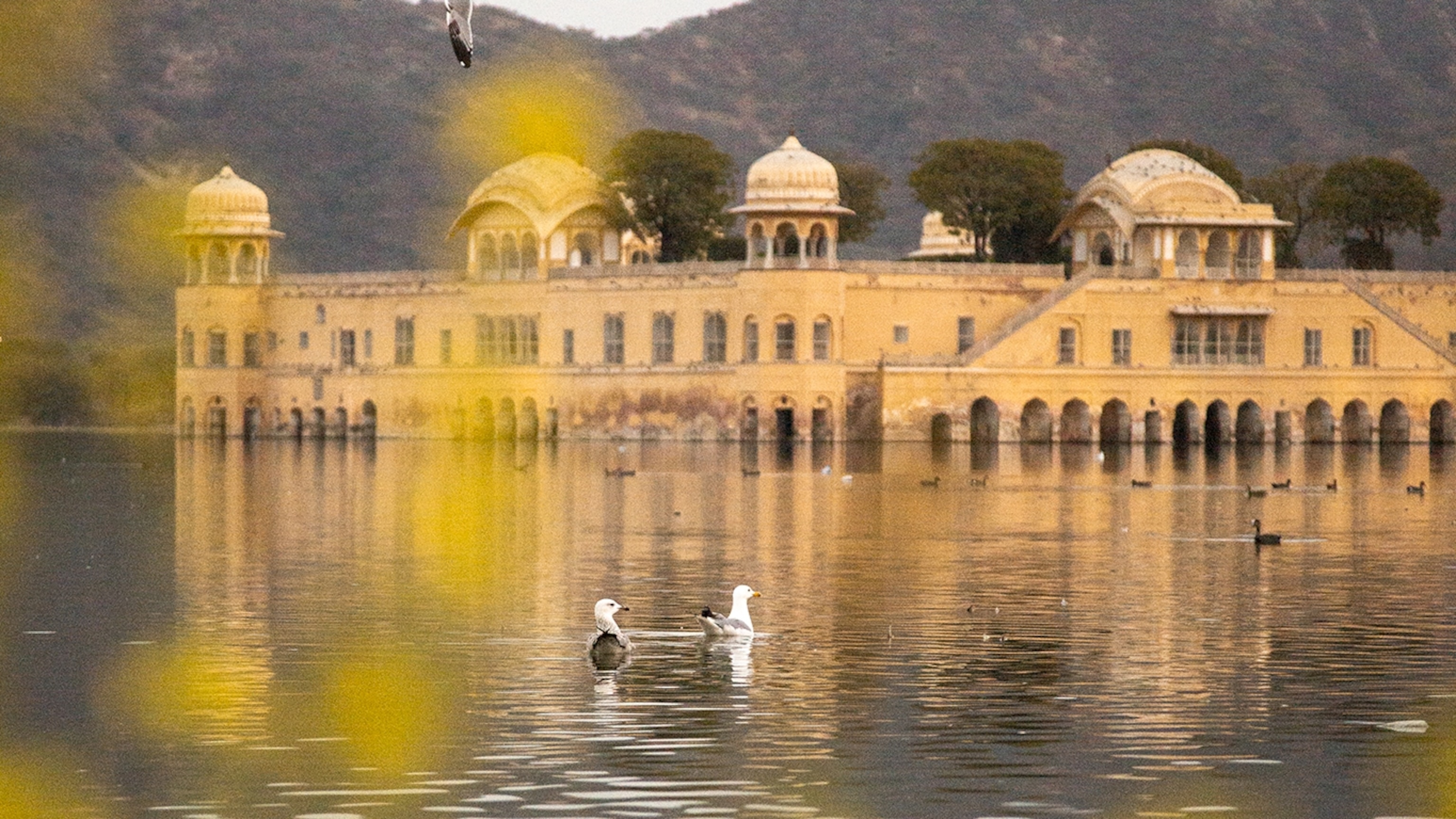 Jaipur, India's Pink City, Turns 300 in 2027