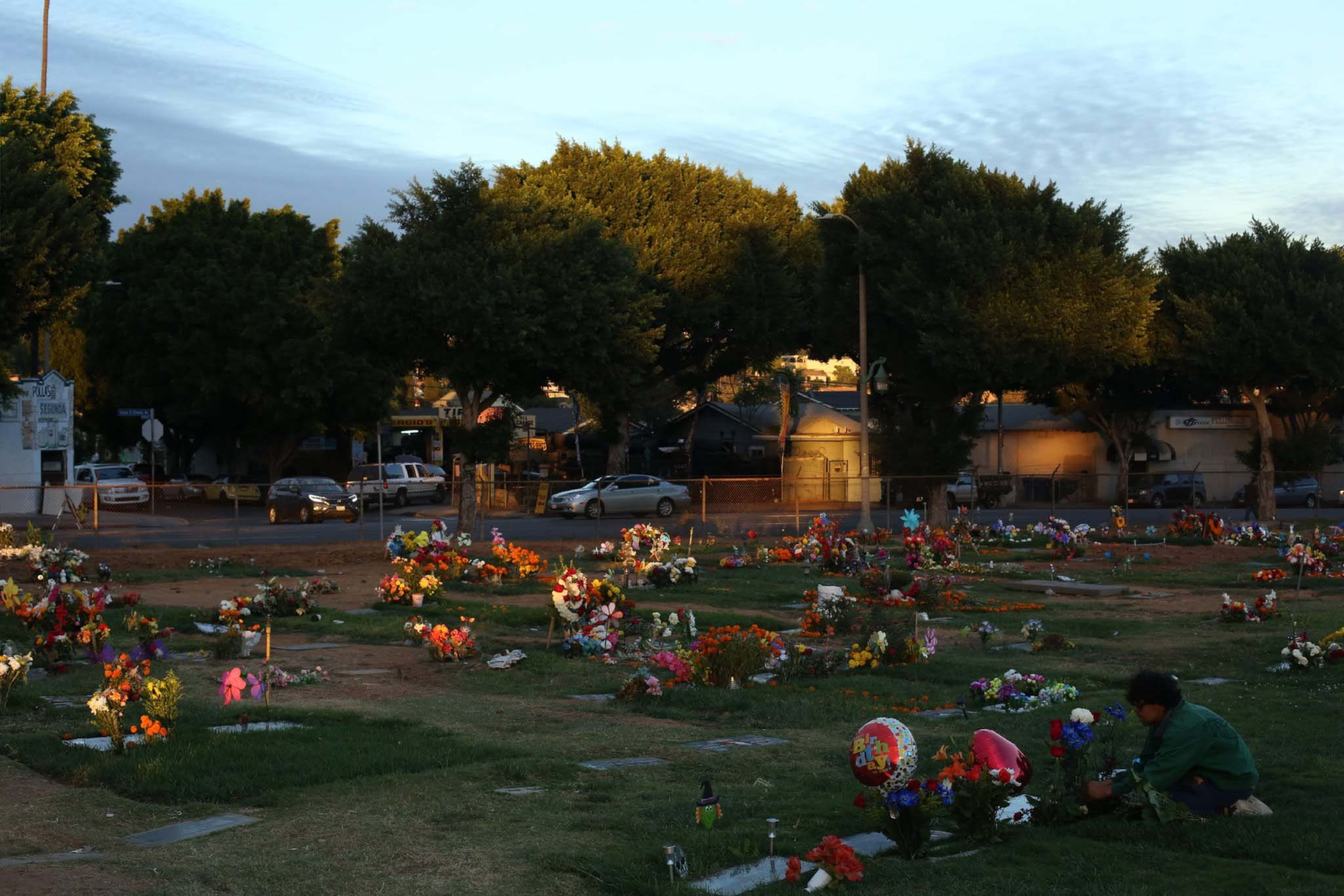 a cemetery visit after the day of the dead
