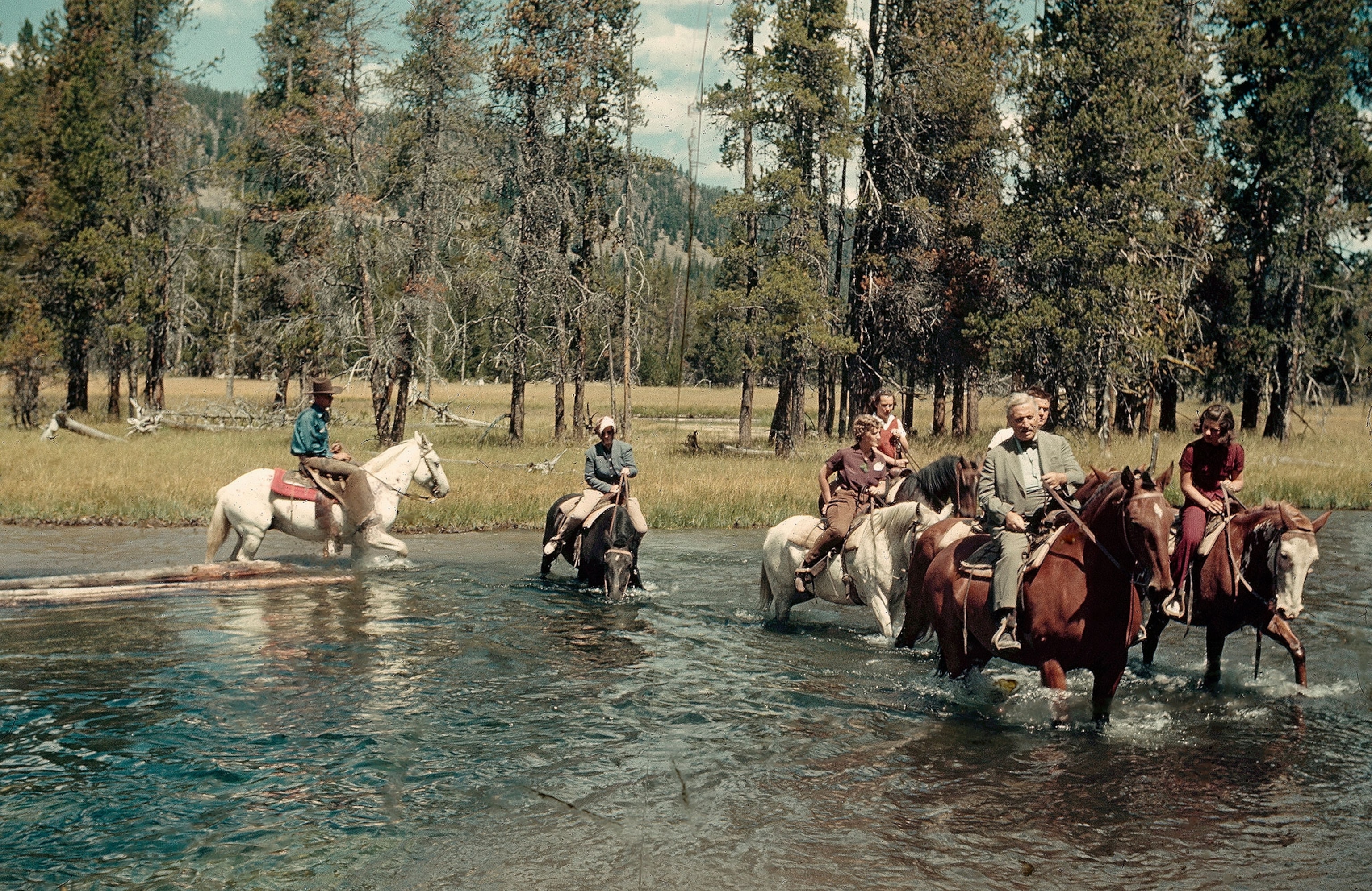 Yellowstone National Park