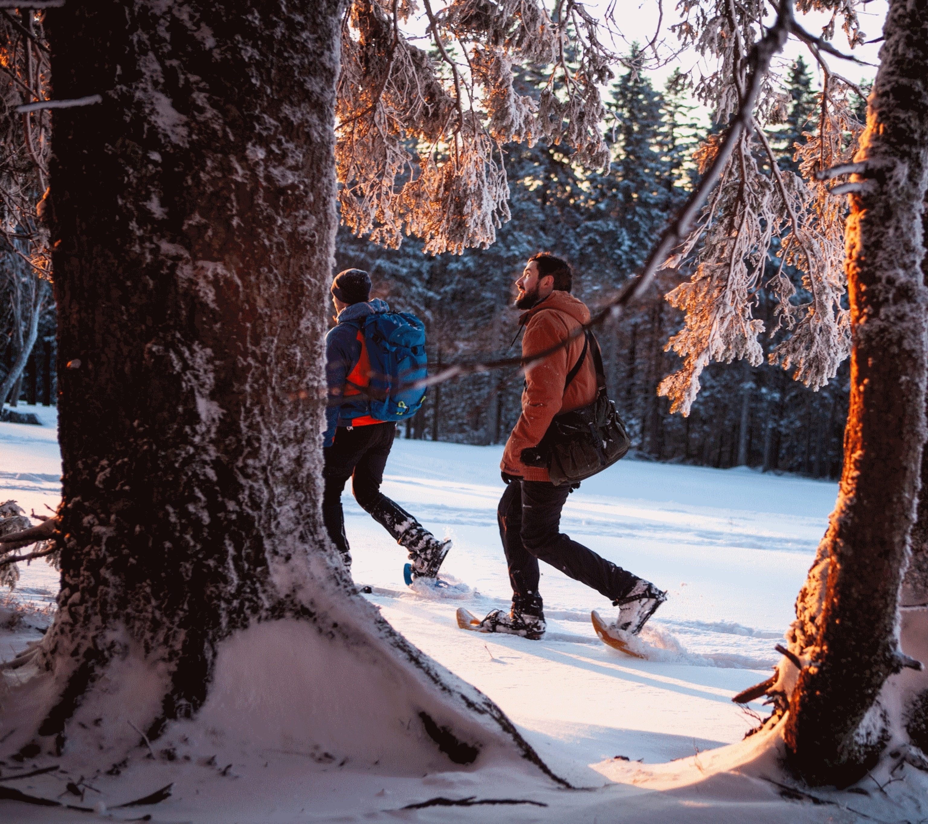 a guide leading the way through one of Slovenia’s wintery forests.