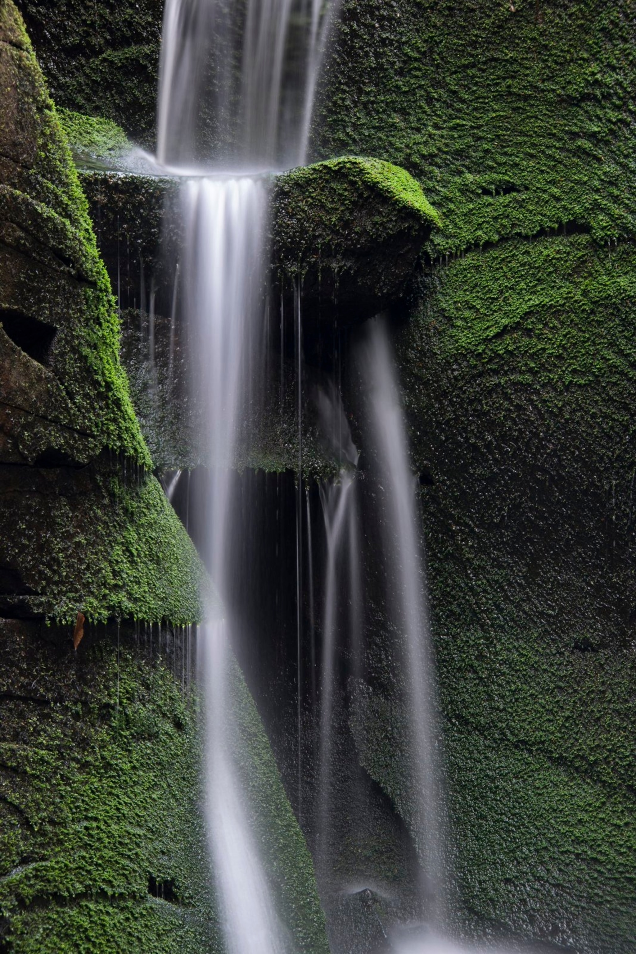 Water falls down moss covered rocks