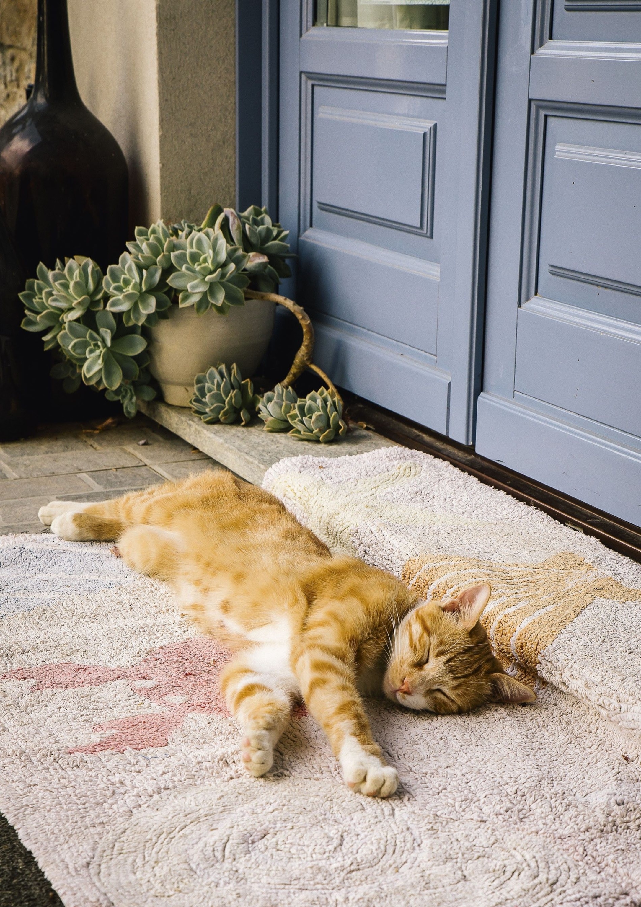 Cascina Giardini Agriturismo is a hazelnut farm open to guests, with rooms available in its historic farmhouse.