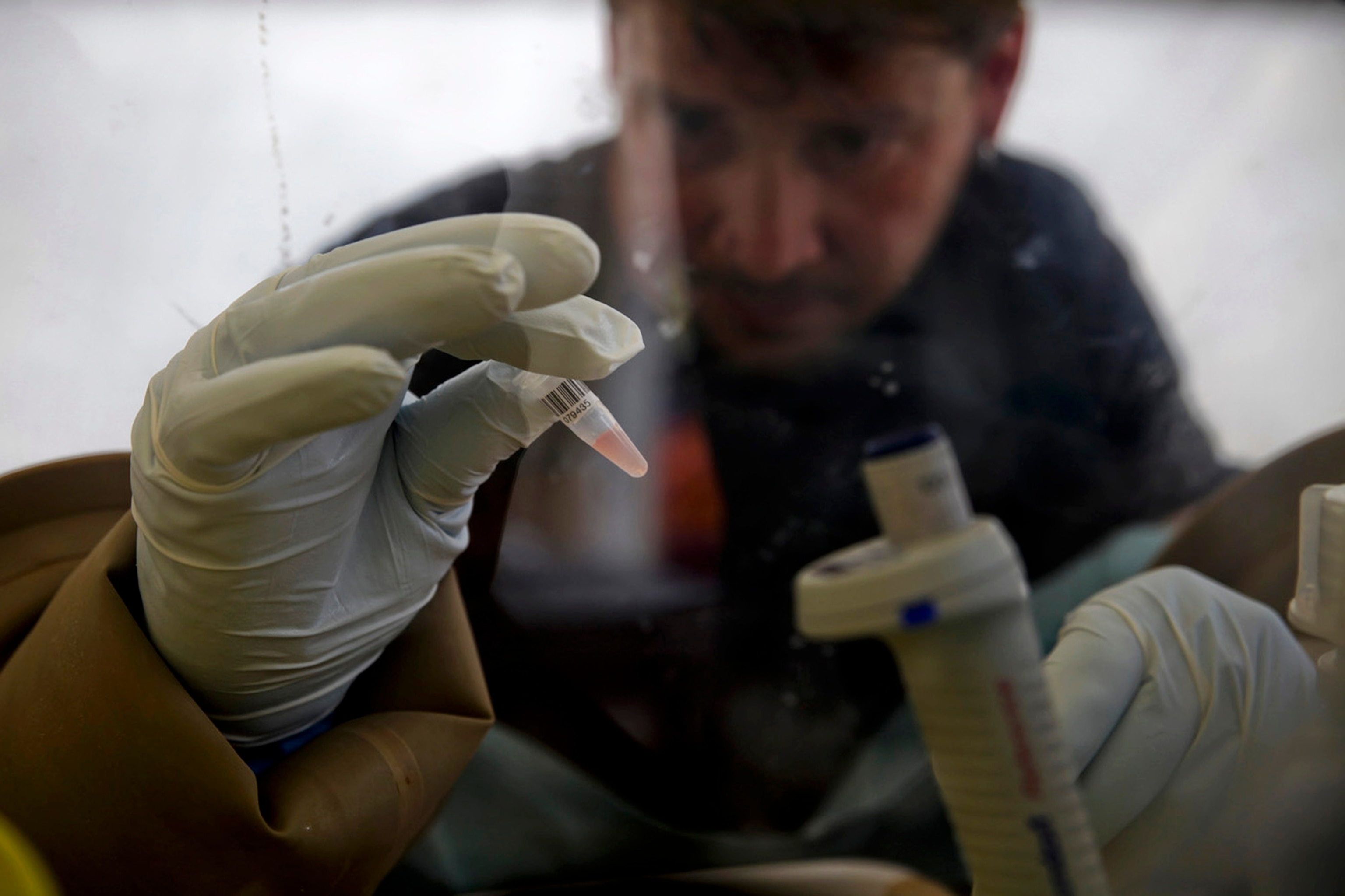 A Red Cross worker helps villagers with Ebola symptoms don protective gloves after the village's chief ordered people to cooperate with medical staff and remove the sick from their homes, in Dandano, Guinea, Nov. 3, 2014.