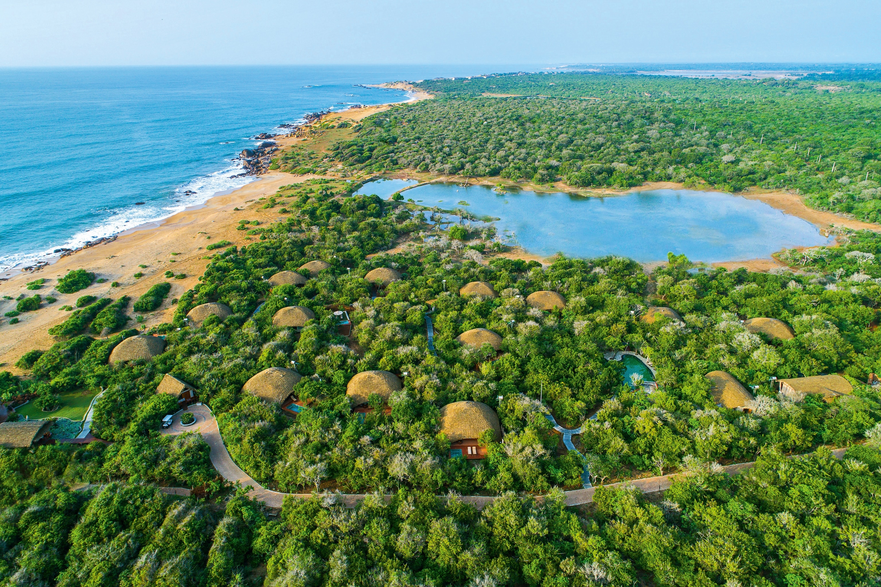 Aerial view of huts in wooded area near beach