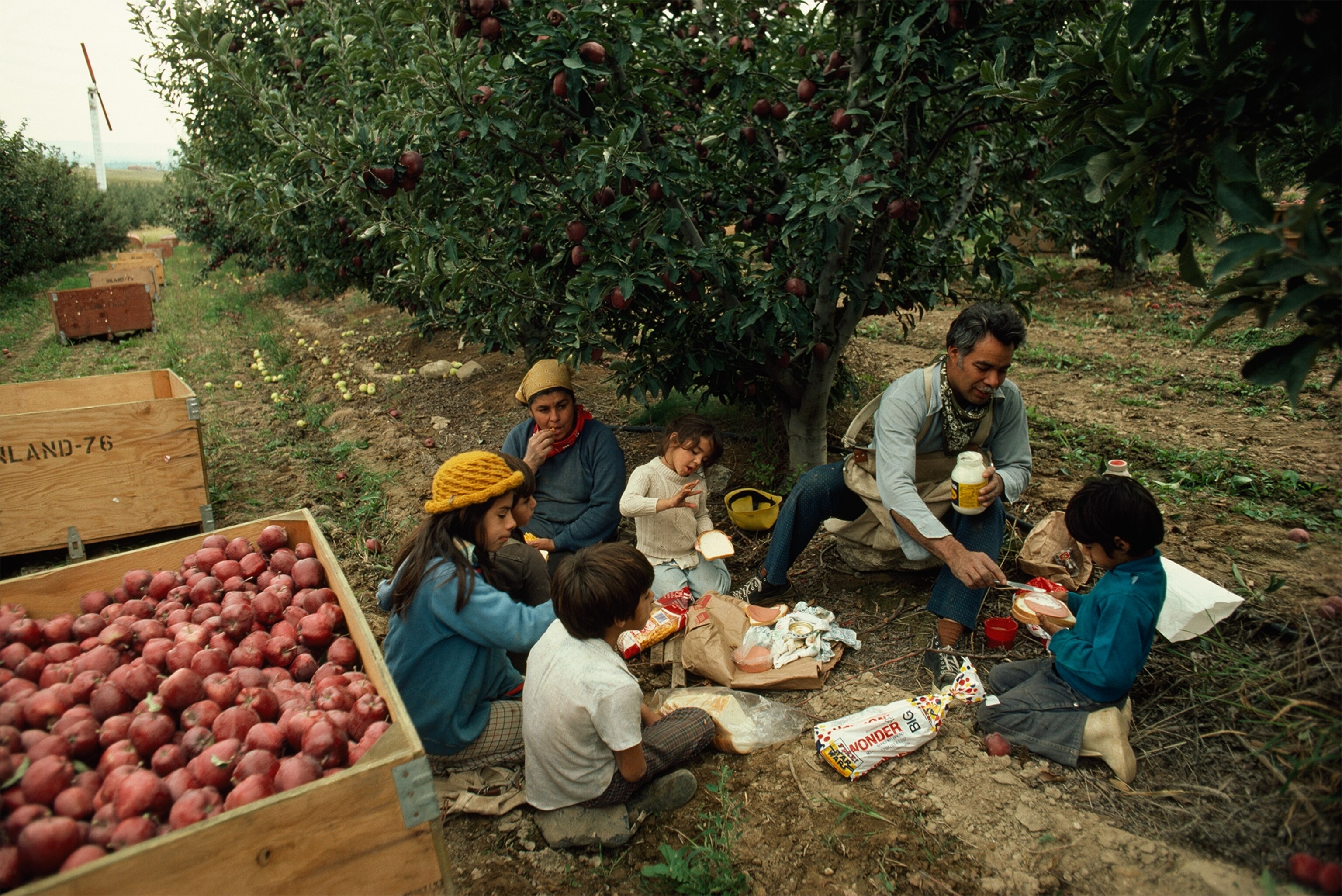 a family of migrant workers gathering for lunch in the apple orchards in 1978.