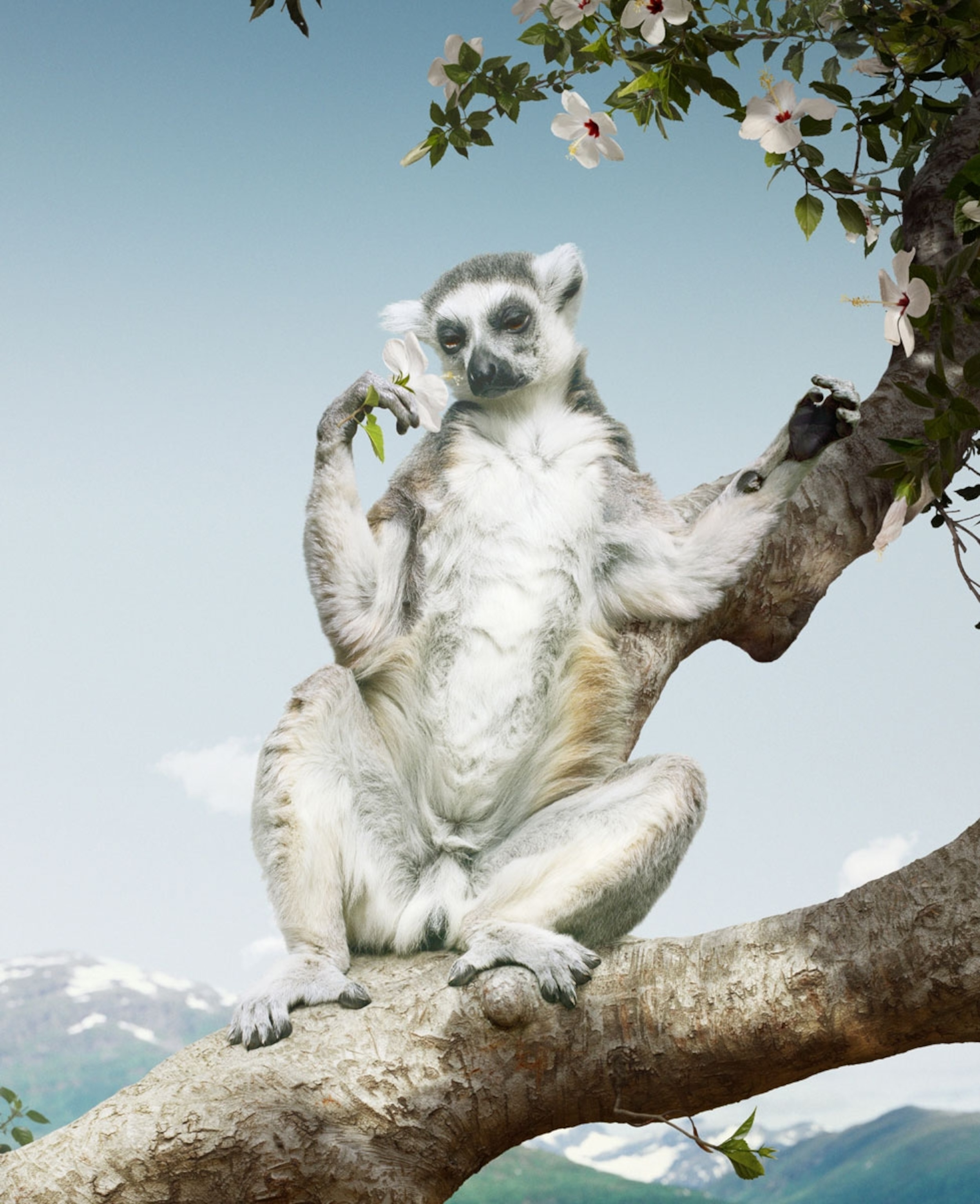 a constructed image of a lemur perched on a tree, sitting upright holding a flower