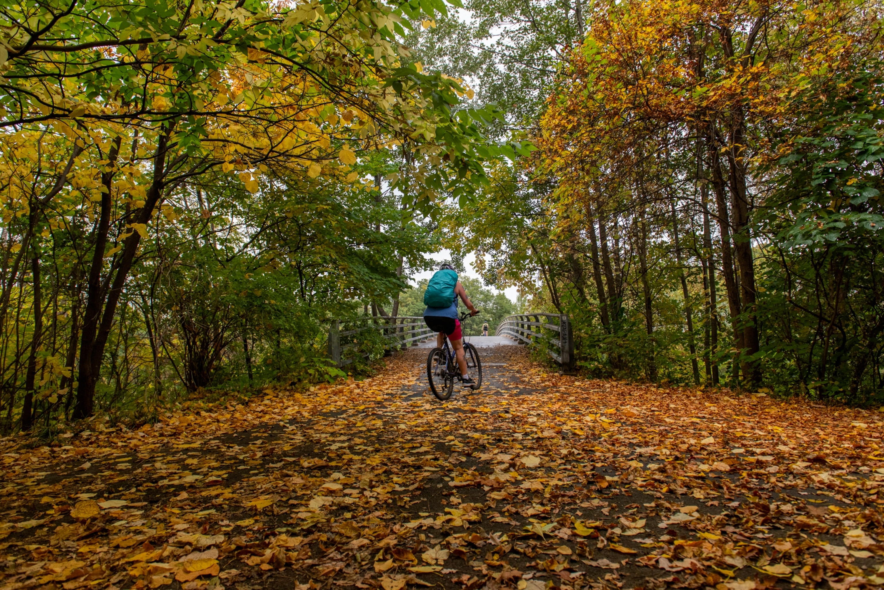 A bicyclist heads over the bridge to the Empire State Trail's Erie Canal Heritage Trail