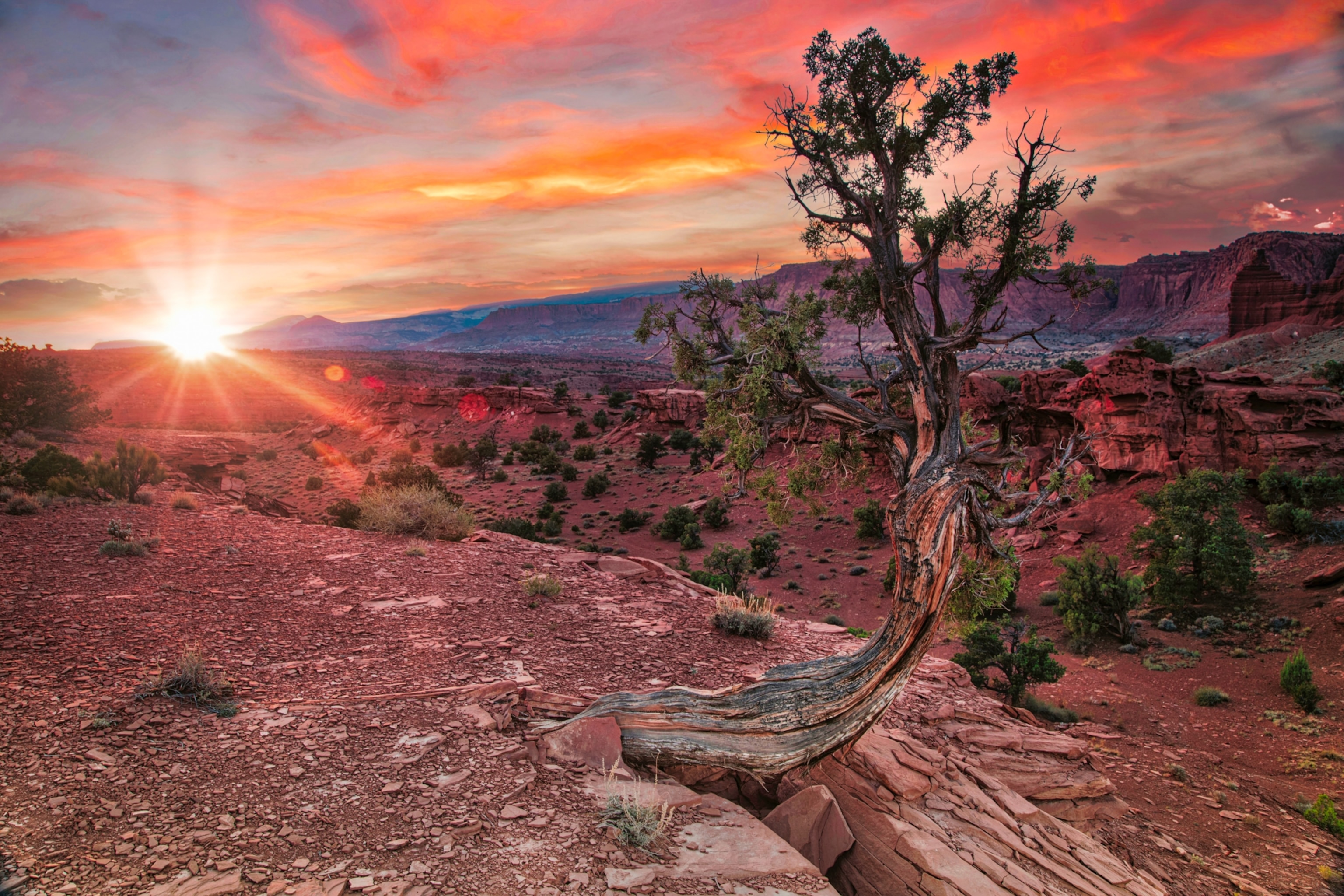 Sunset in Capitol Reef National Park