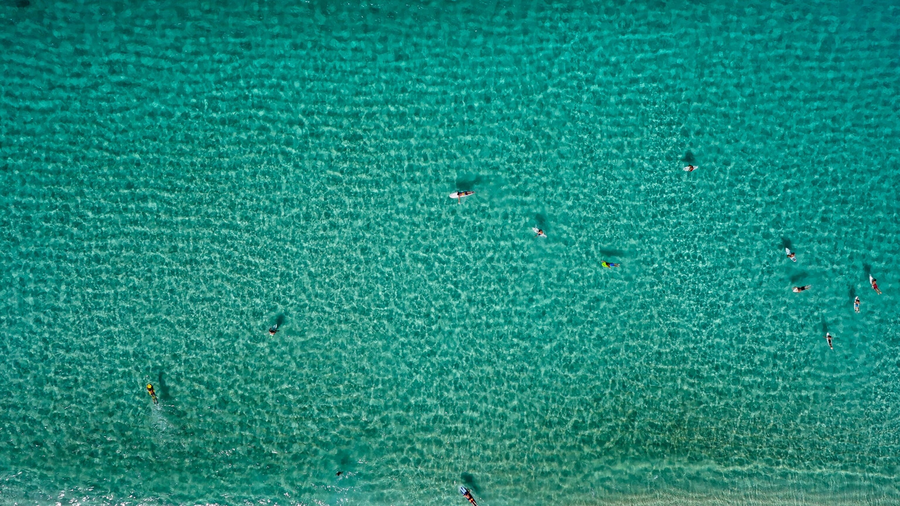 a group of surfers seen from above waiting in between sets in Oahu, Hawaii