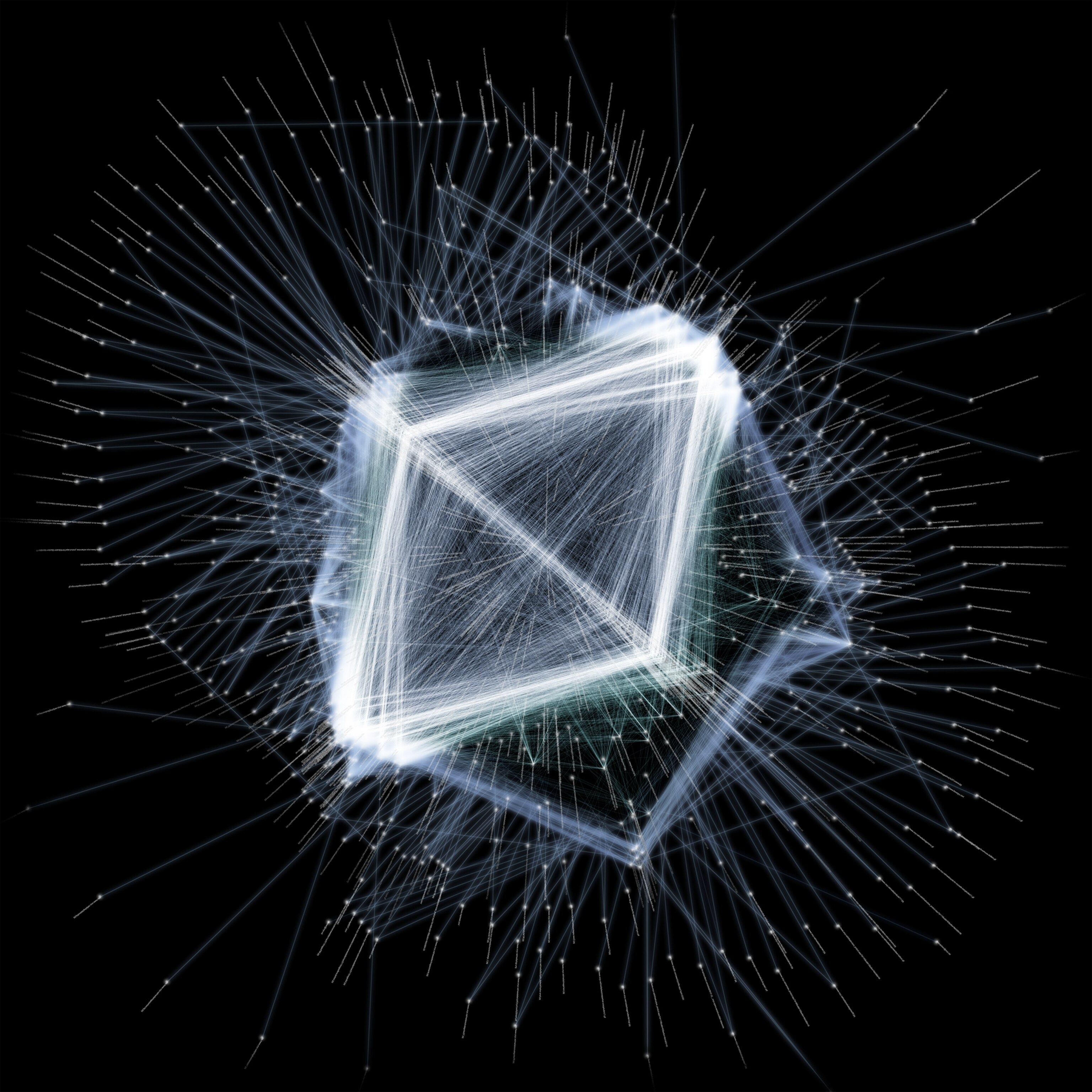 A "data portrait" graphically showing connections on the web.