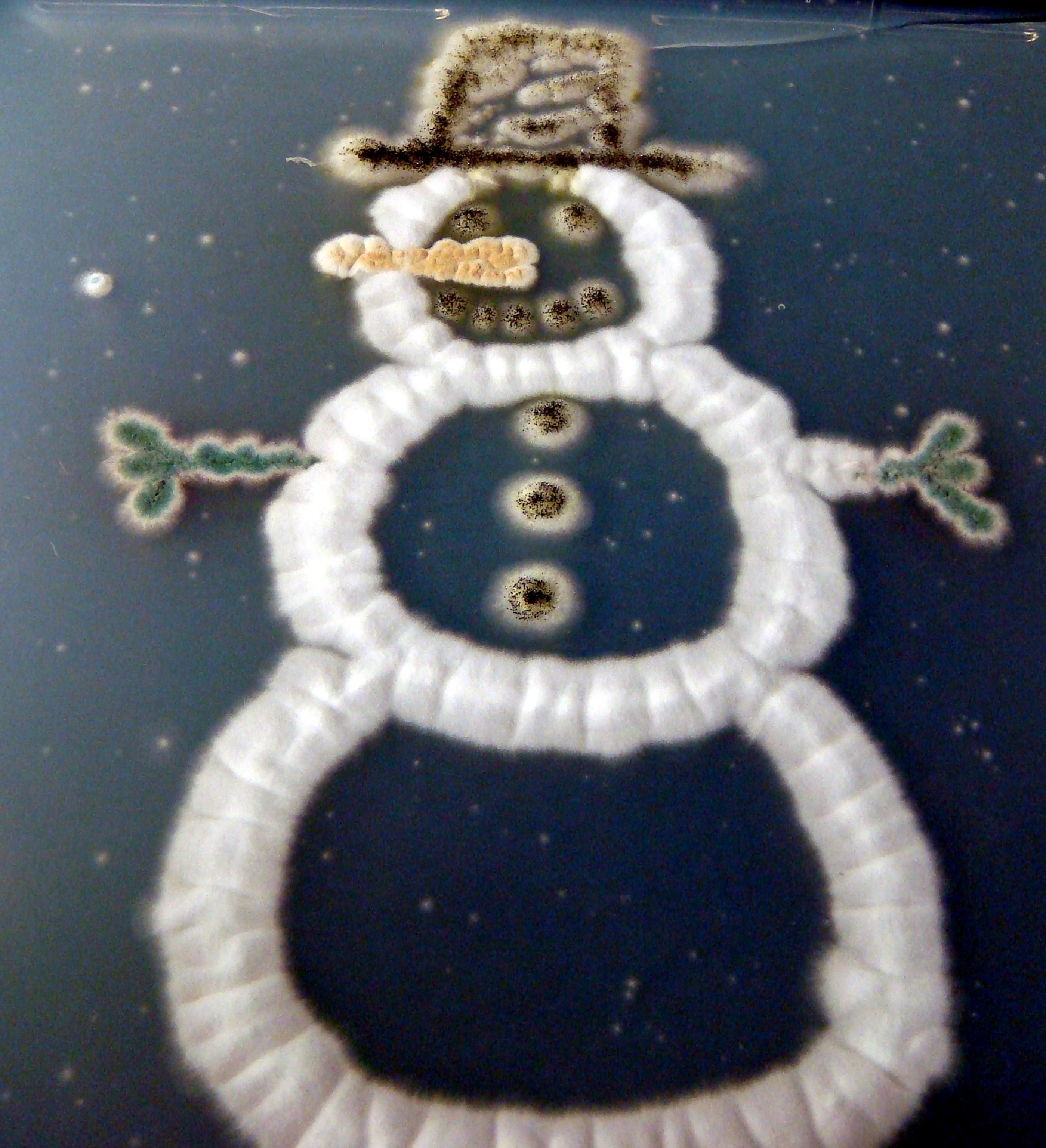 a snowman made out of fungus