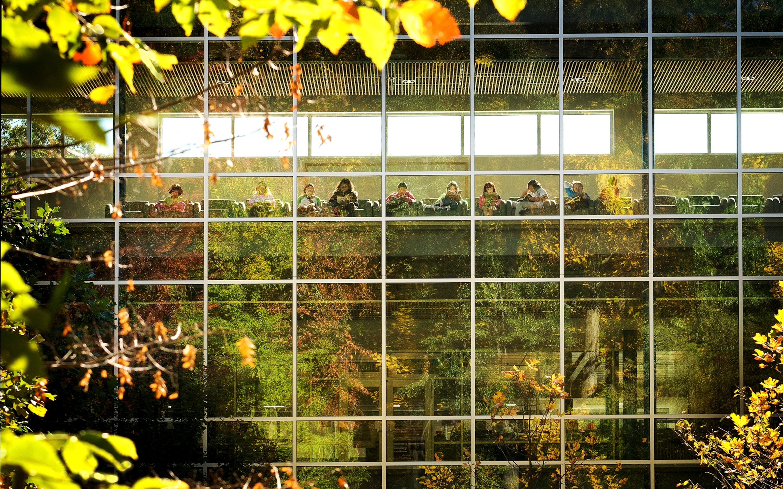 a green designed school