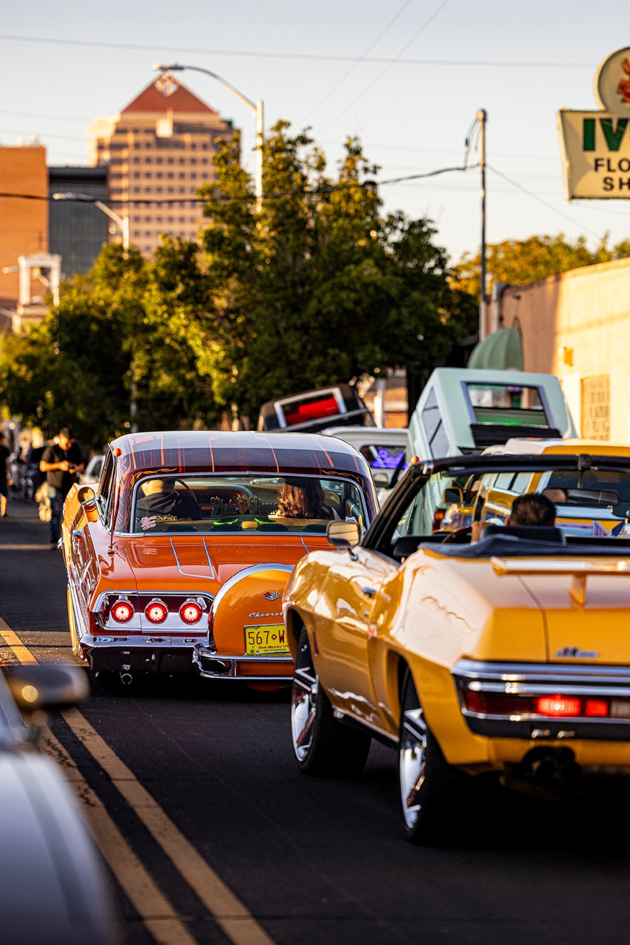 A boulevard filled with retro cars, their back ends lowered to the street.