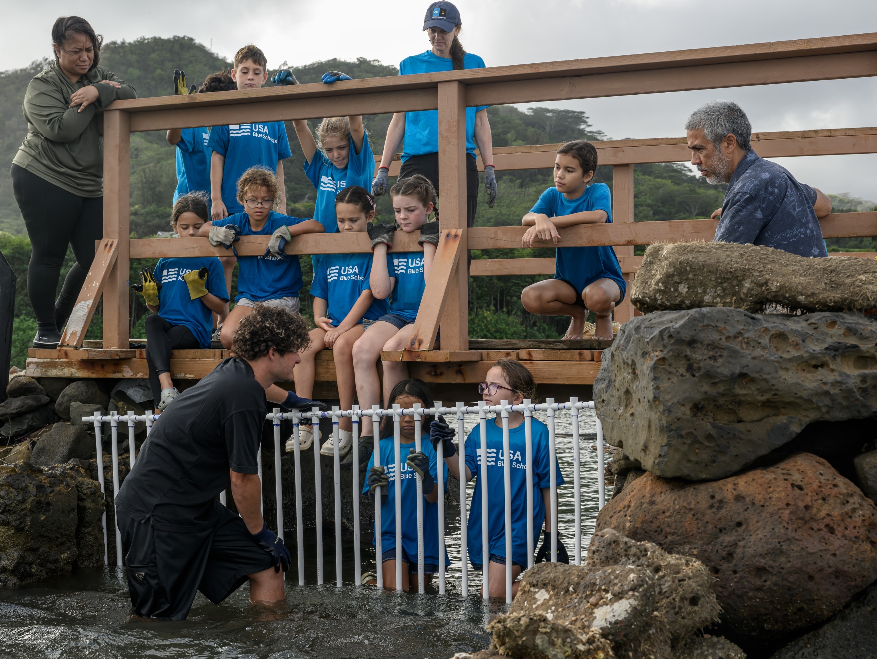 Children from the Hawaiʻi Blue Schools Hui help to install a mākāhā sluice gate at Waikalua Loko I‘a.